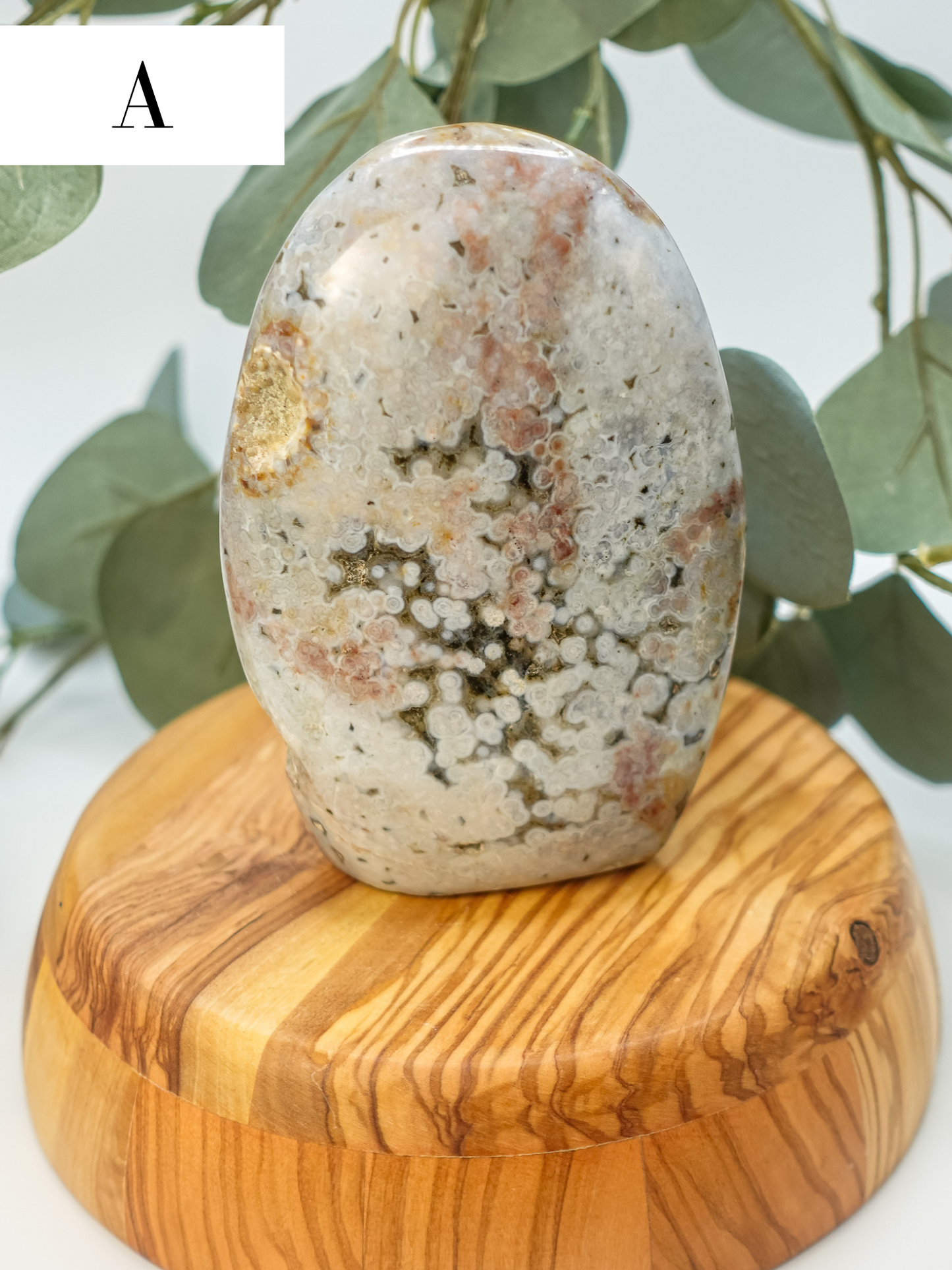 Sea Jasper Freeform- You Choose!