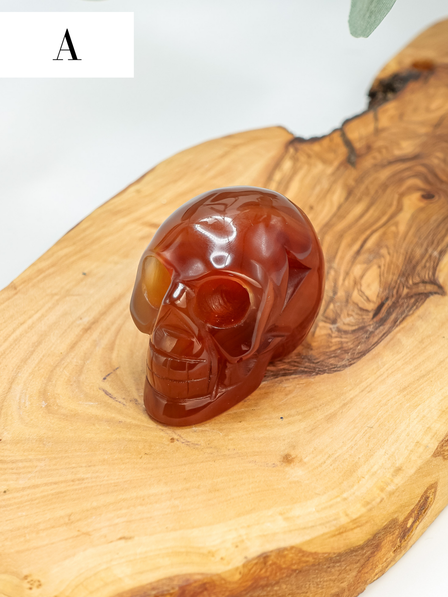Carnelian Skull Carving - You Choose!