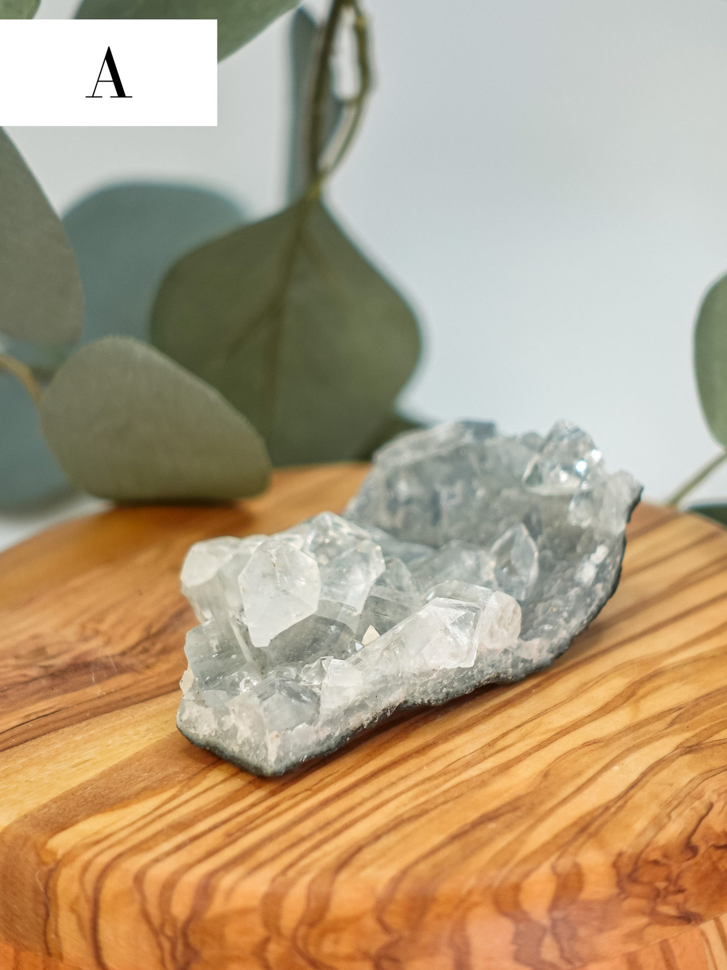 Chalcedony/Apophyllite Specimen - You Choose!