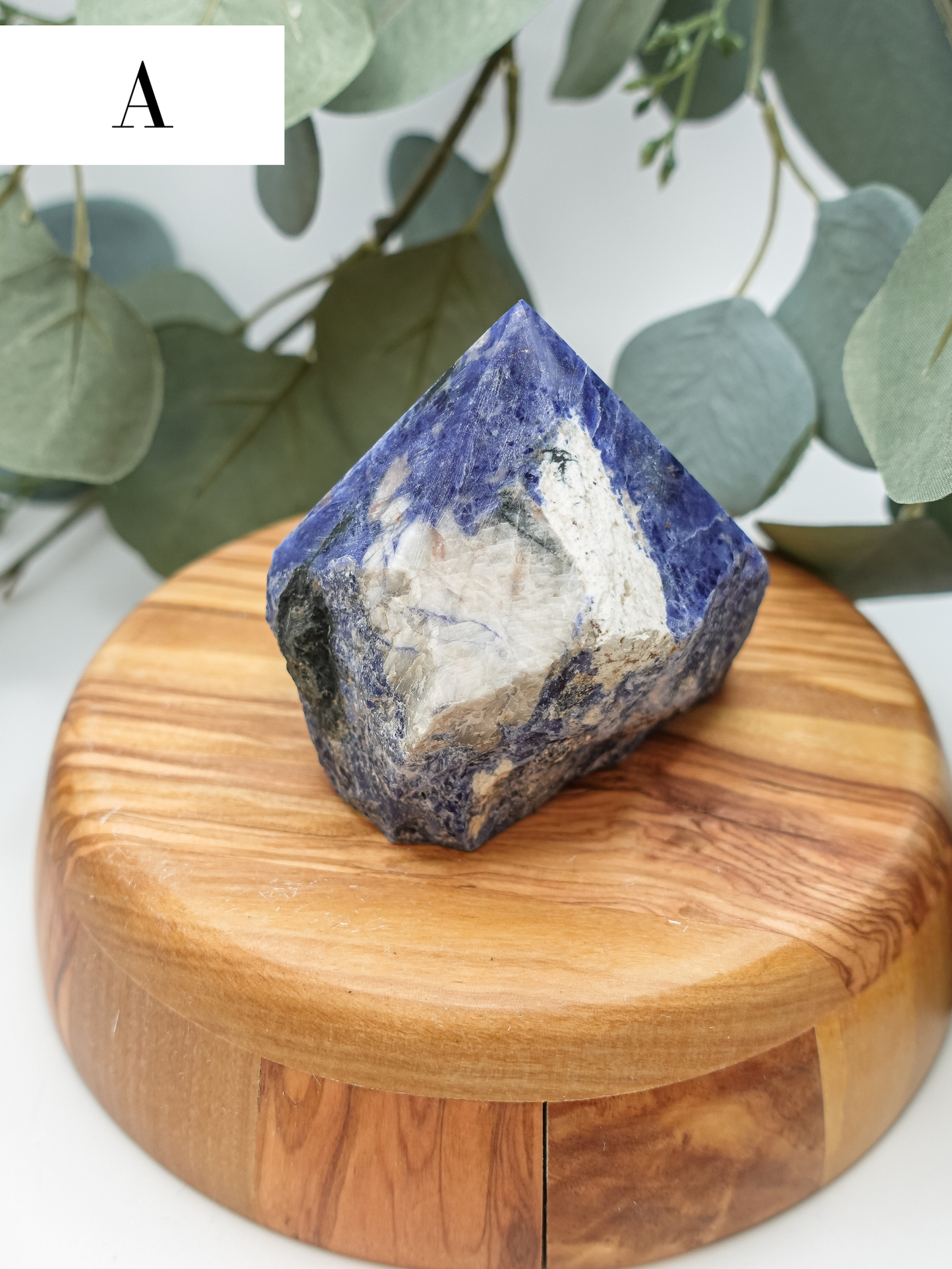Sodalite Polish Point - You Choose!