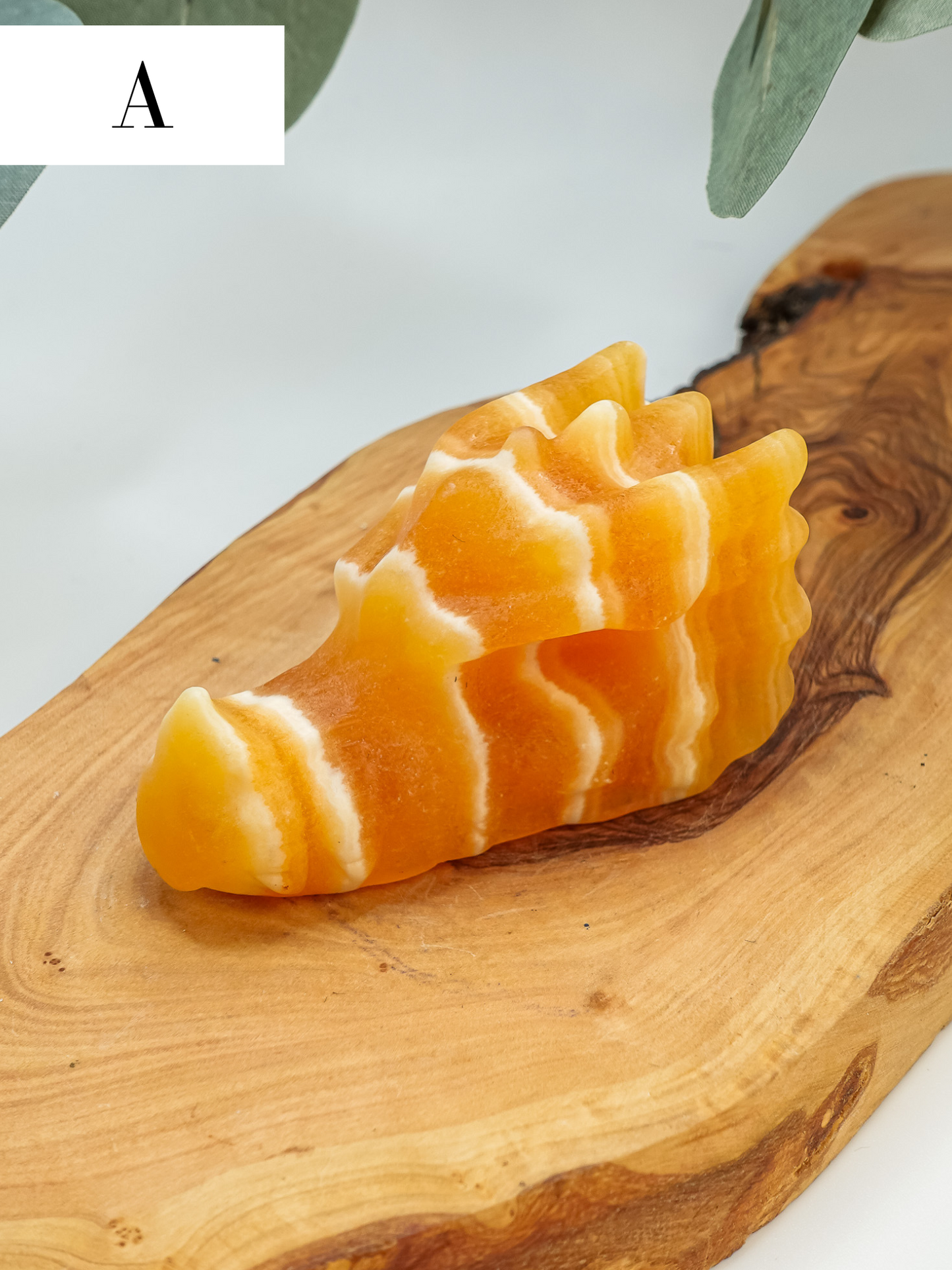 Orange Calcite Dragon Head Carving - You Choose!