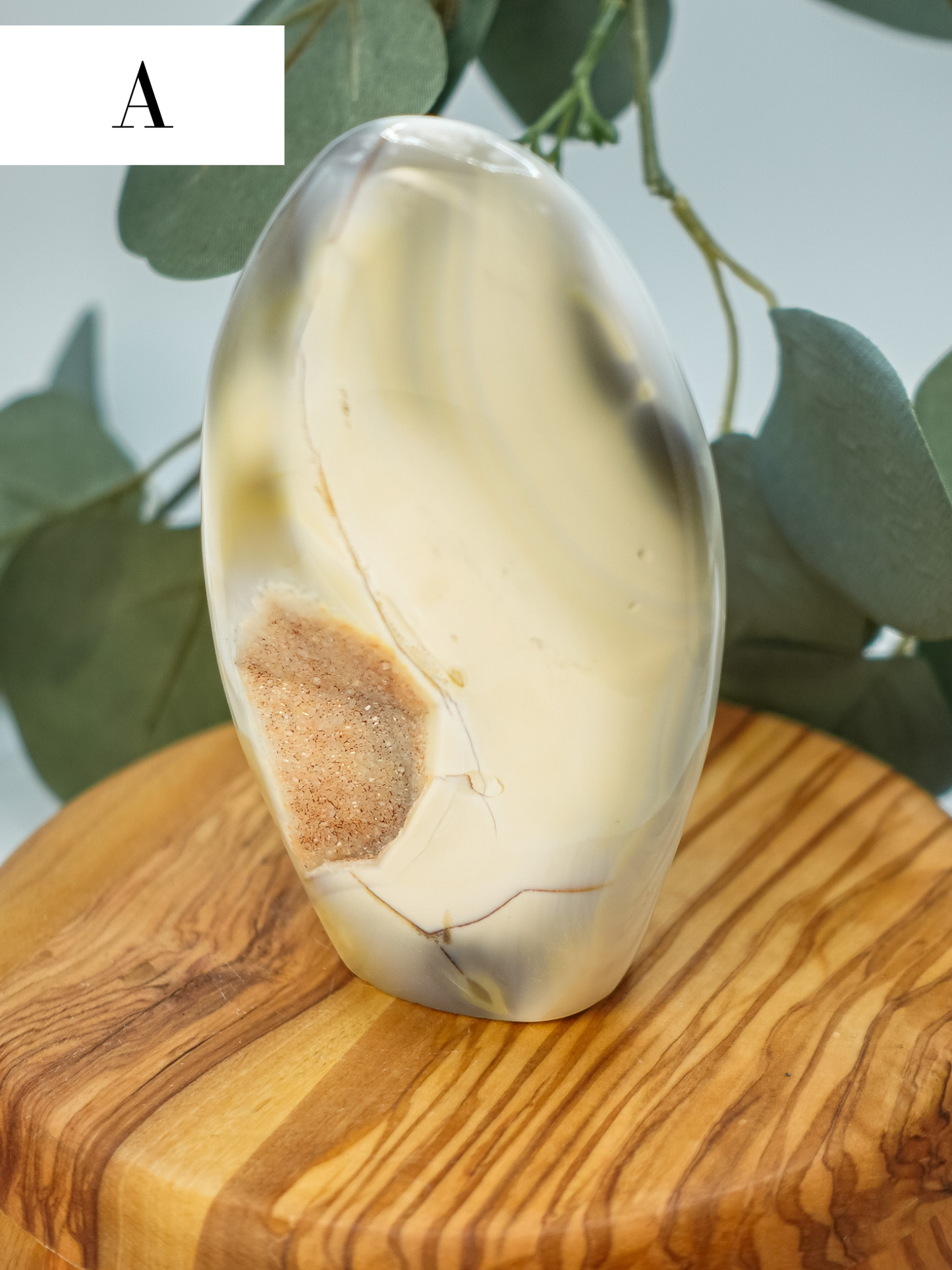 Orca Agate Free Form - You Choose!