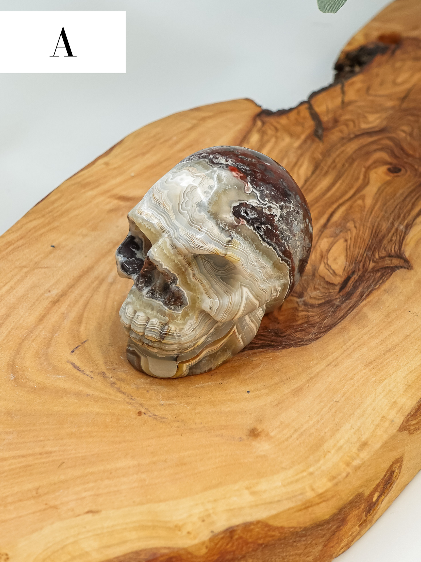Mexican Crazy Lace Skull Carving - You Choose!