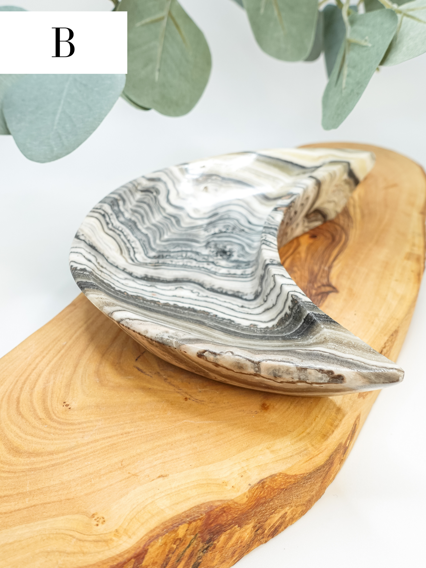 Onyx Moon Dish - You Choose!