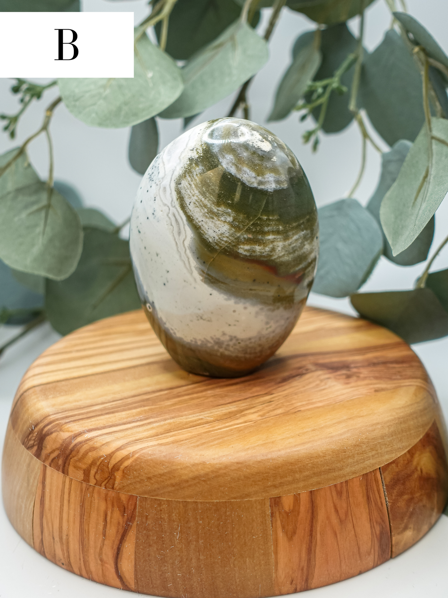Sea Jasper Freeform - You Choose!