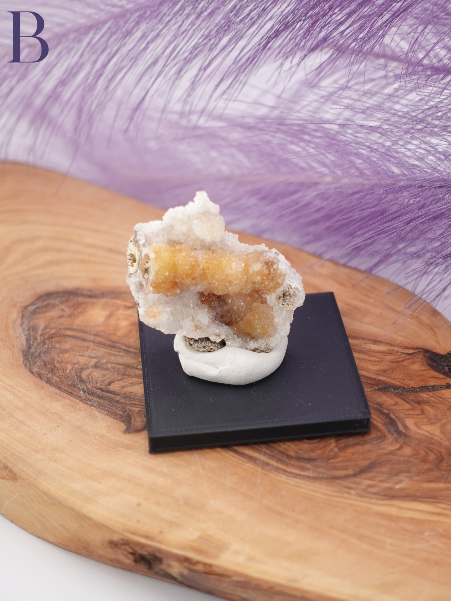 Agatized Coral Specimen on Stand