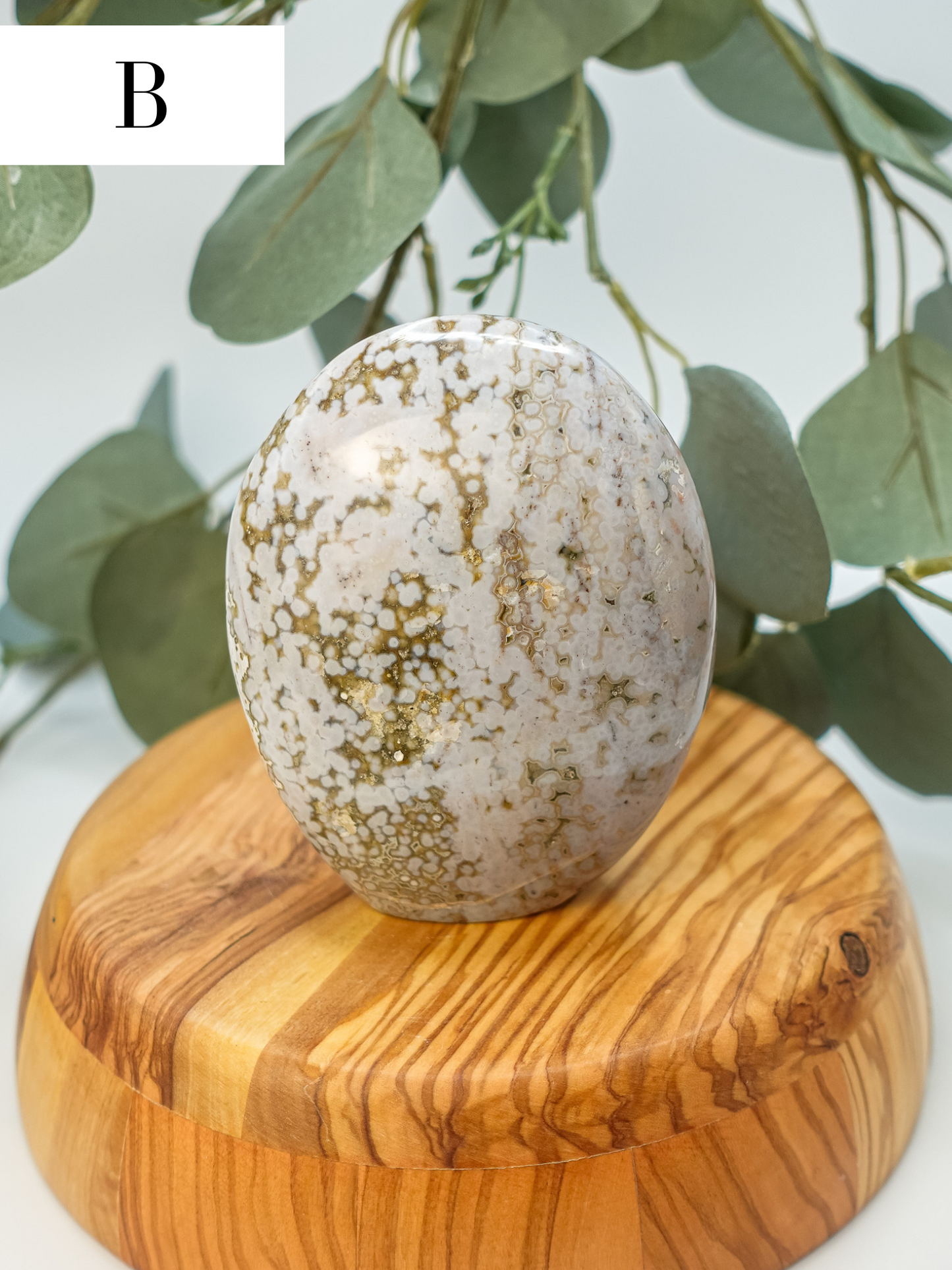 Sea Jasper Freeform- You Choose!