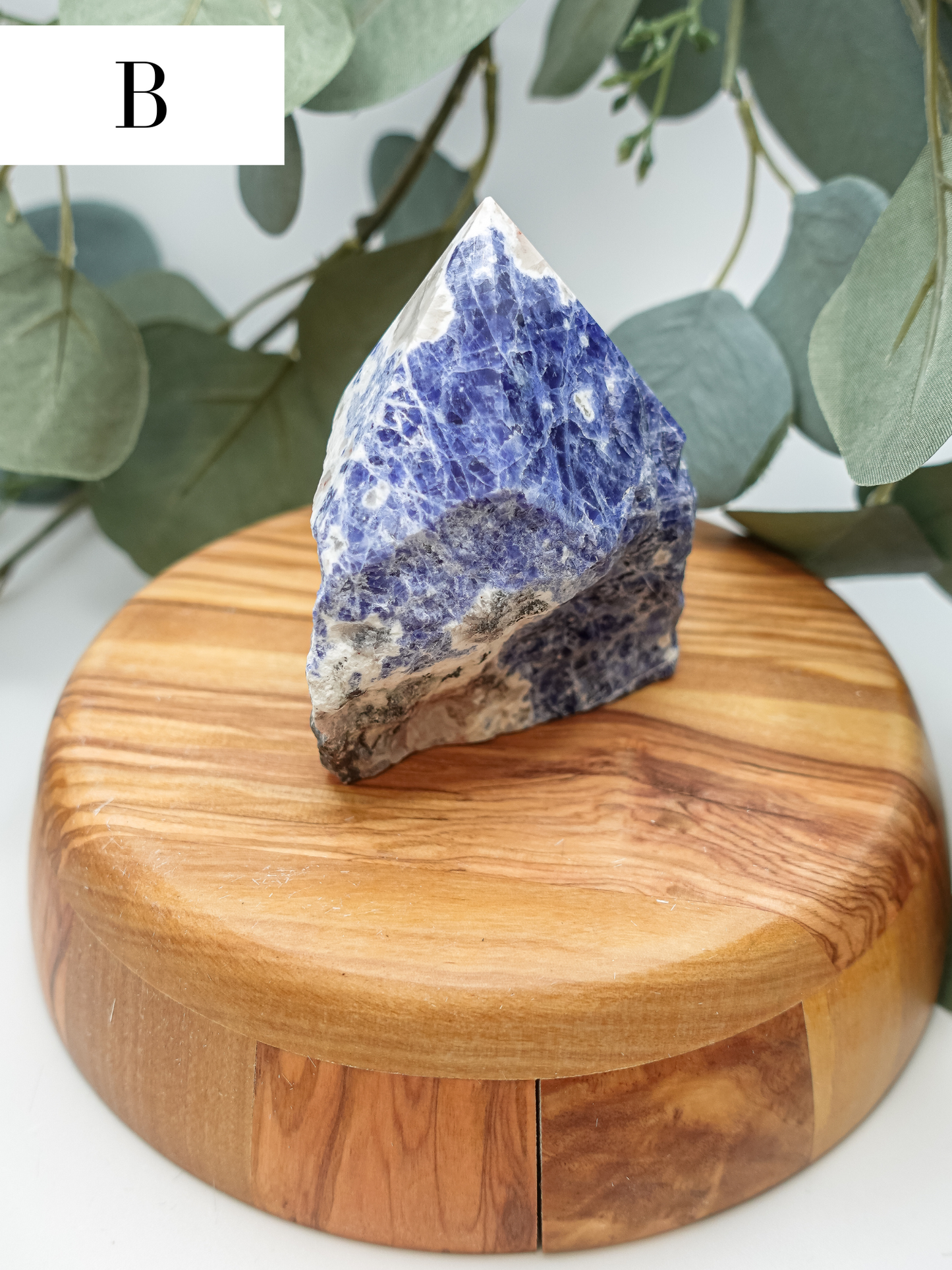 Sodalite Polish Point - You Choose!