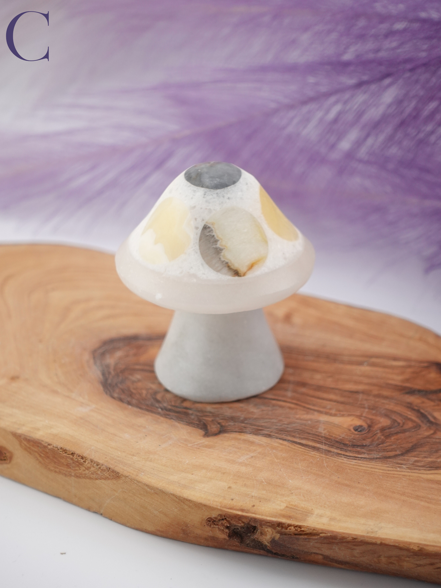 Banded calcite mushroom option C on wooden display stand