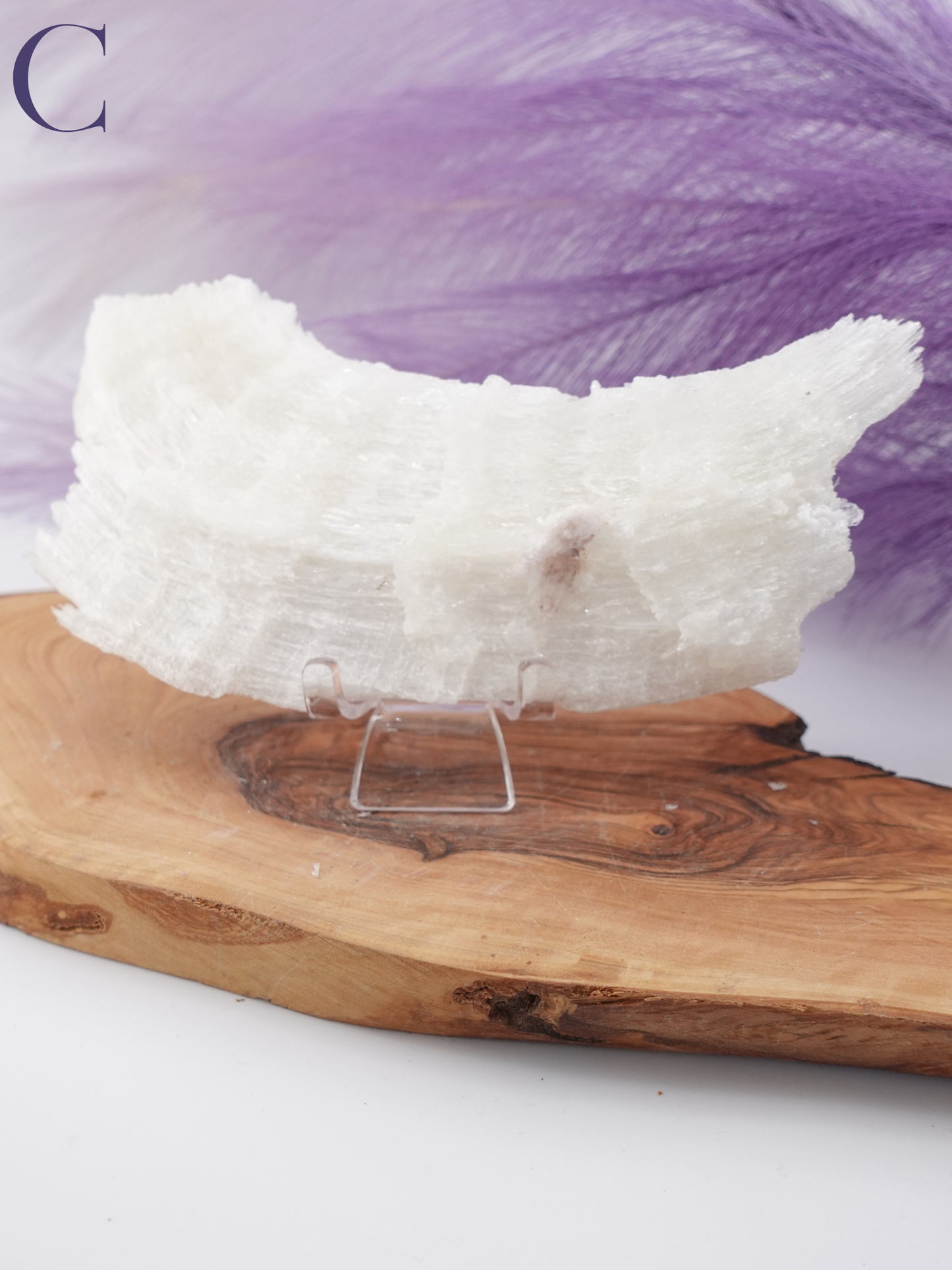 ram horn slab C