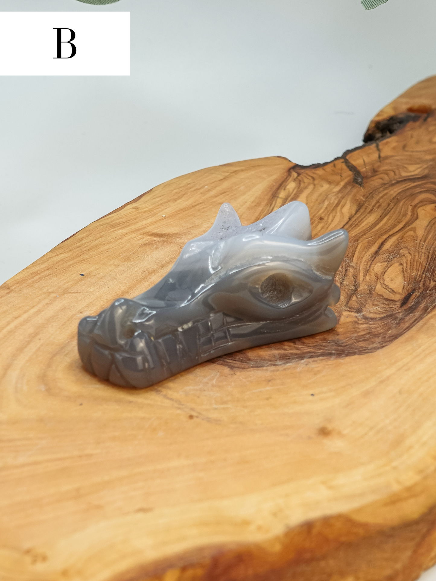 Agate Dragon Head Carving - You Choose!