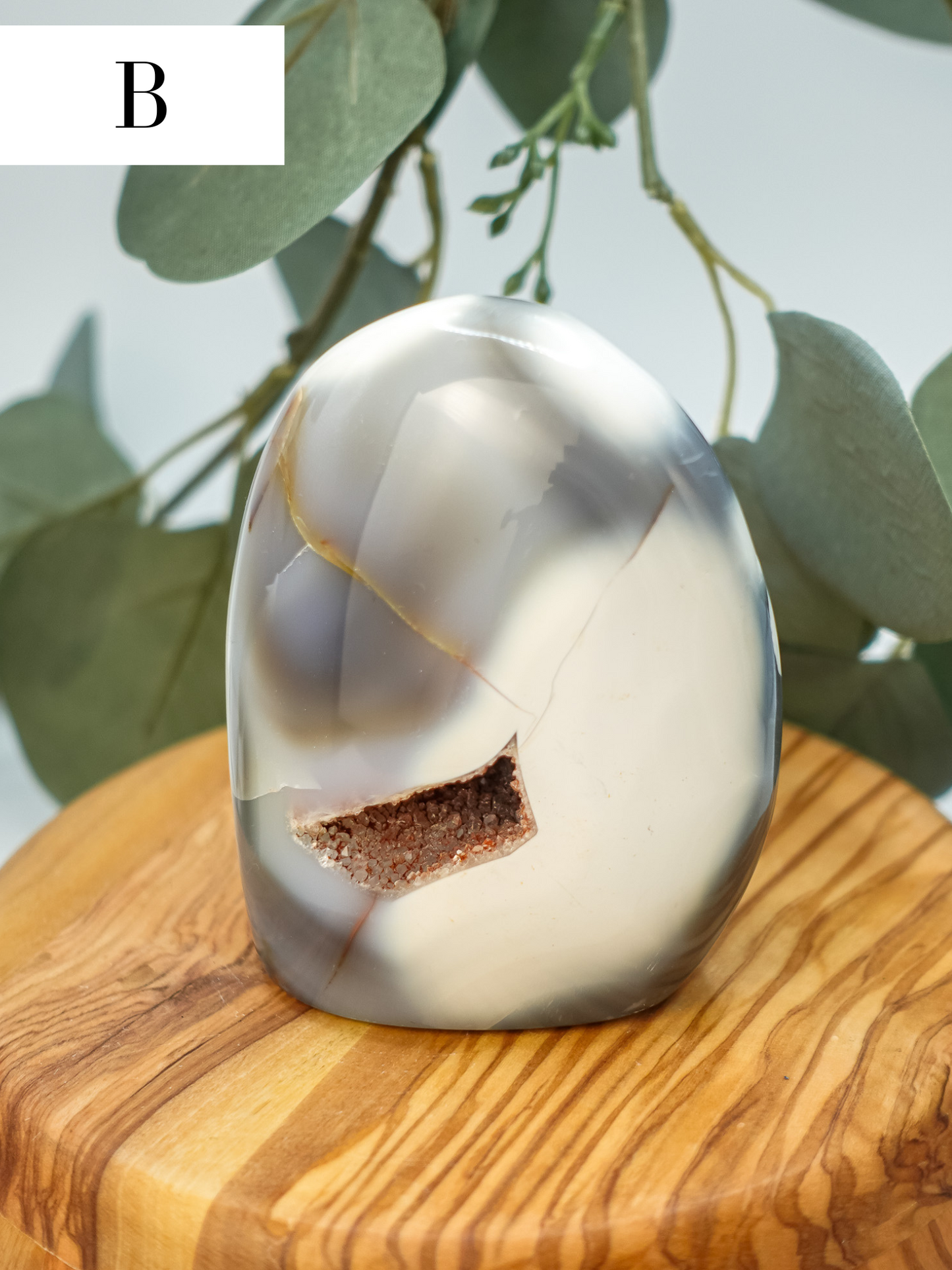 Orca Agate Free Form - You Choose!