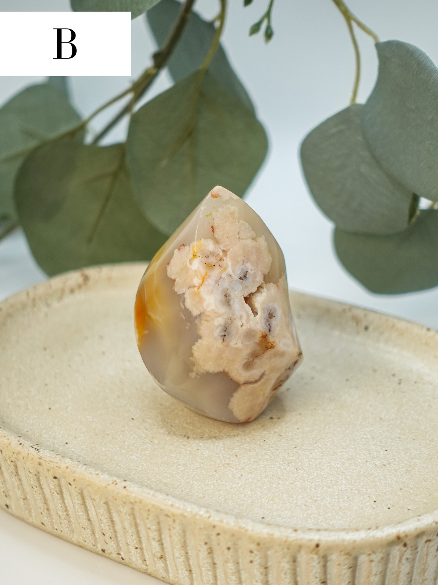 Flower Agate Flame - You Choose!