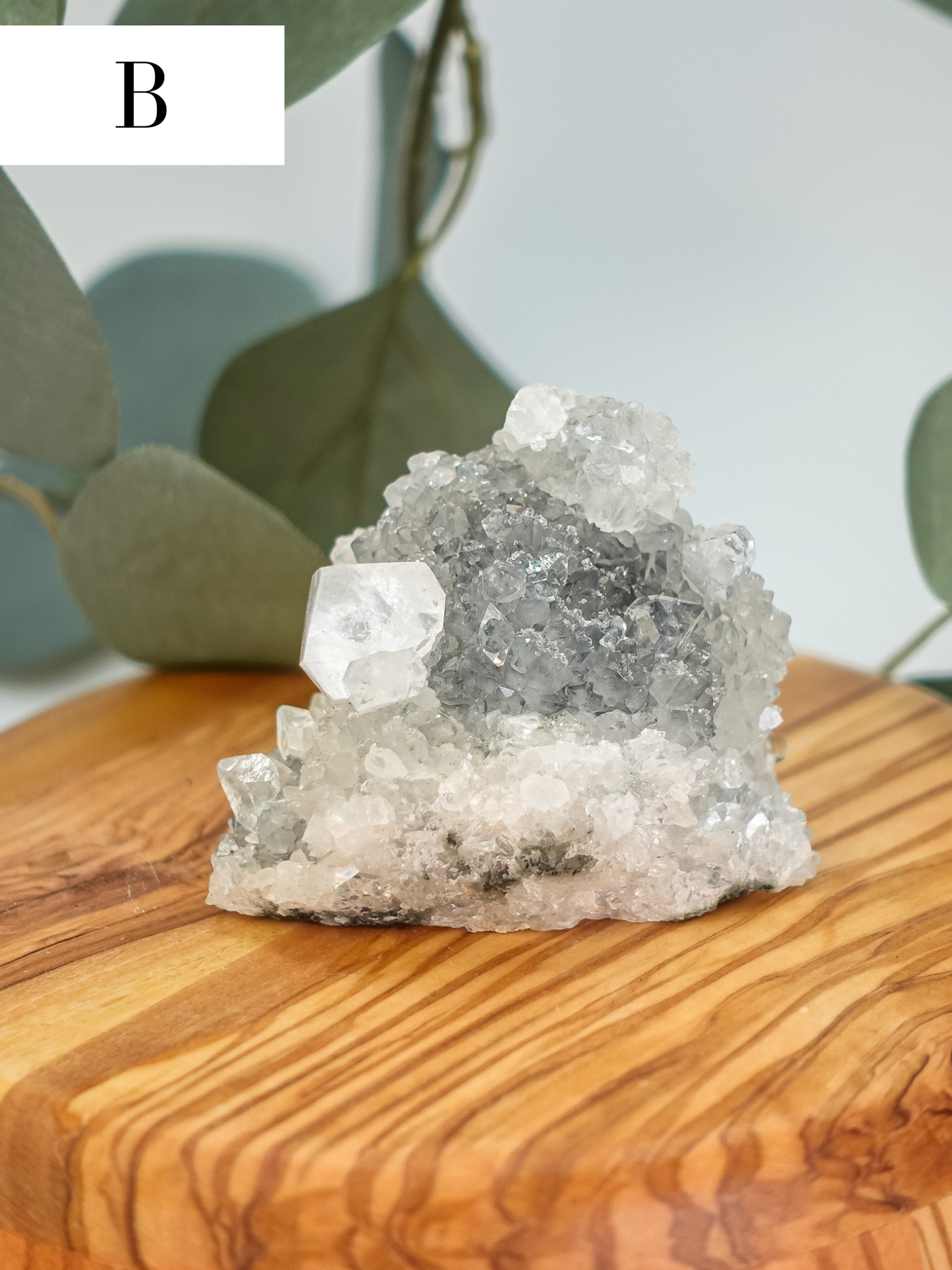 Chalcedony/Apophyllite Specimen - You Choose!