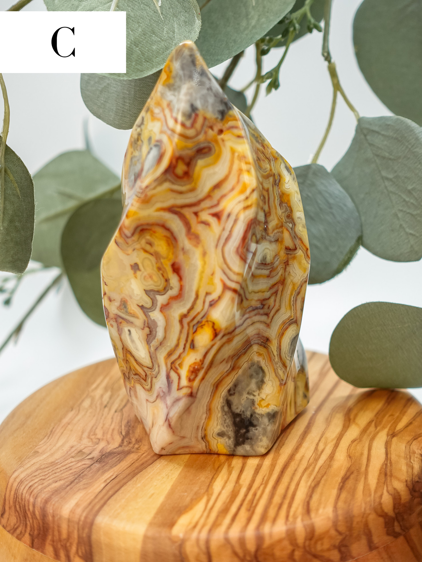 Crazy Lace Flame - You Choose!