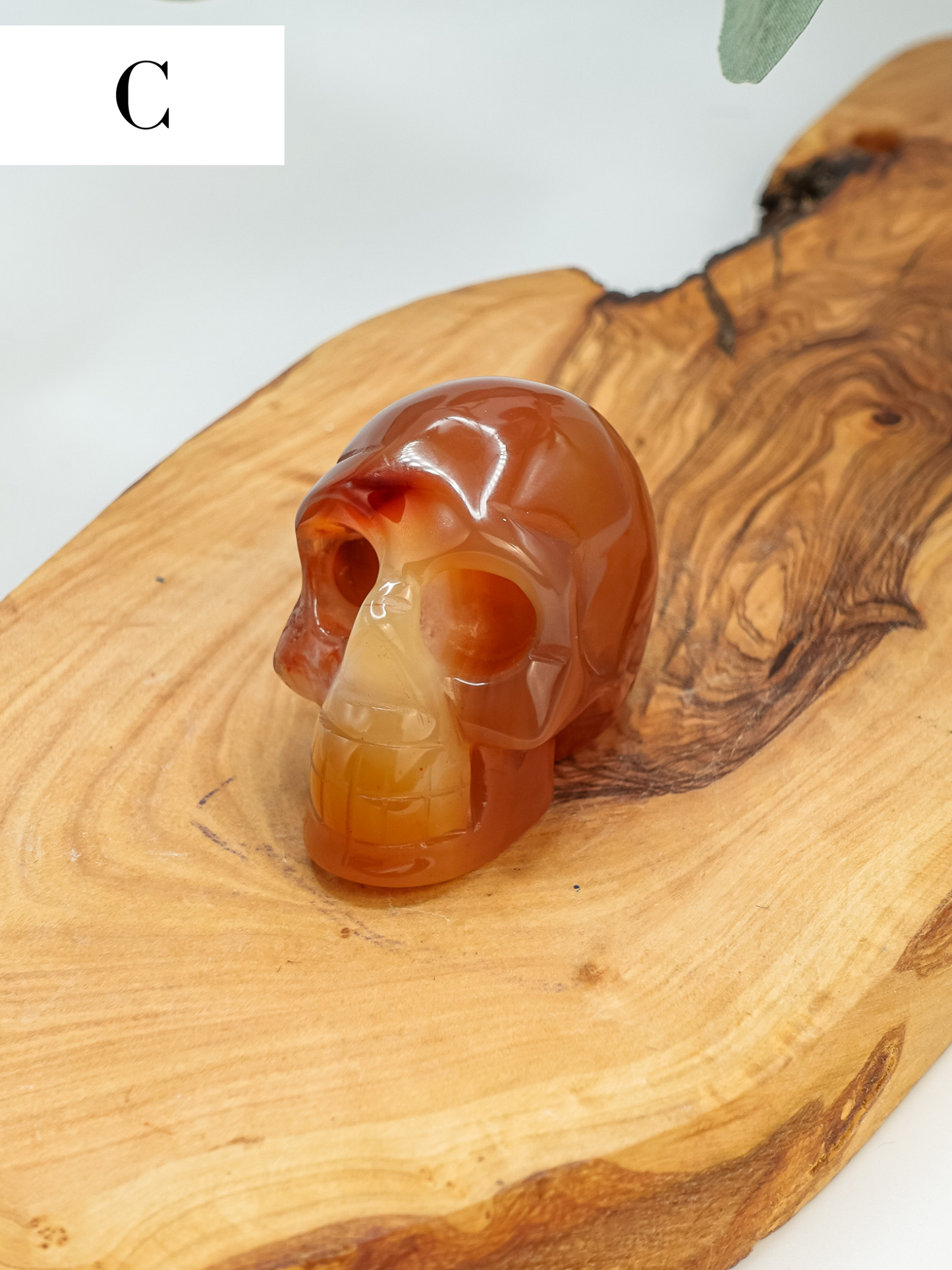 Carnelian Skull Carving - You Choose!