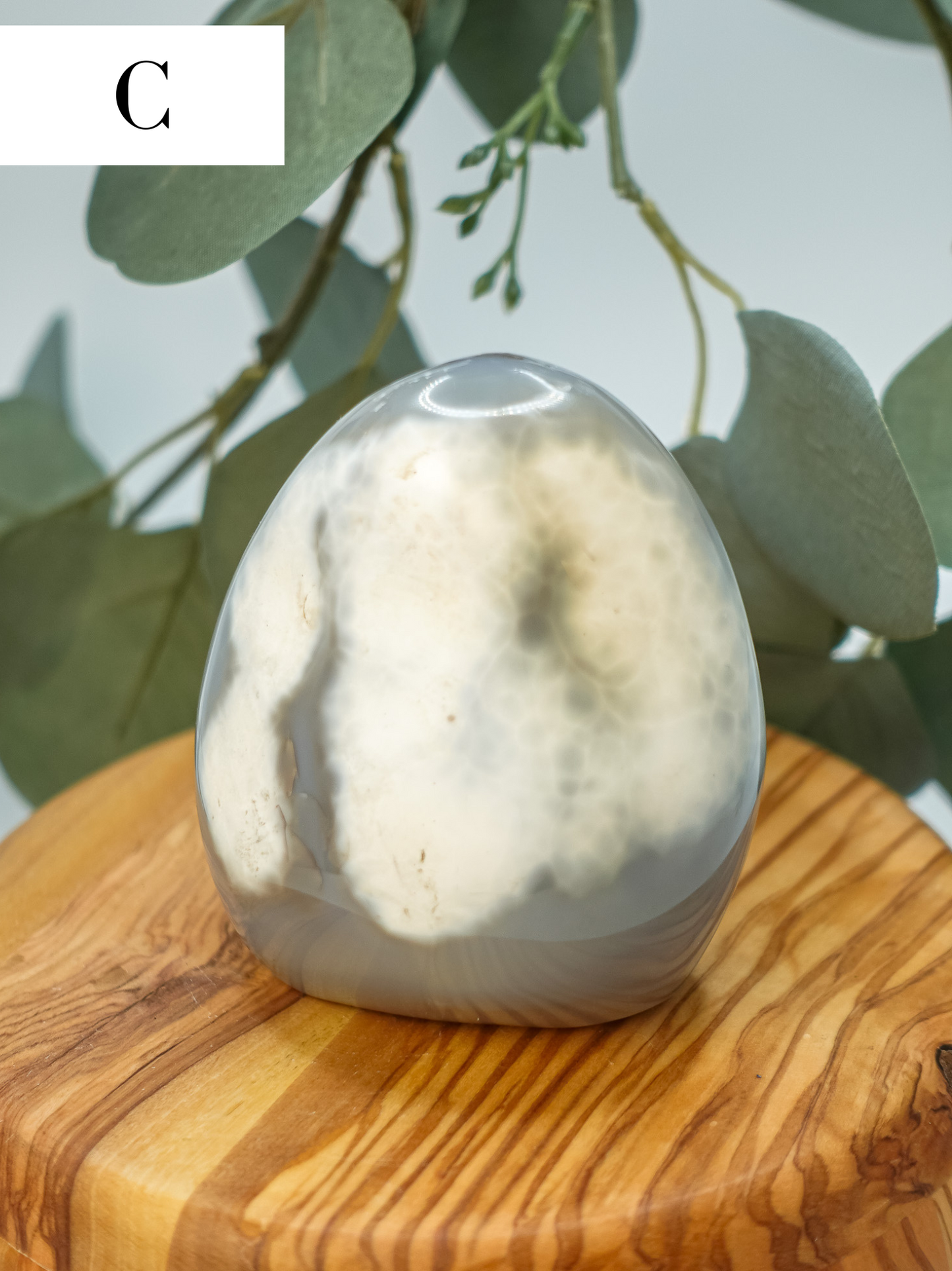 Orca Agate Free Form - You Choose!