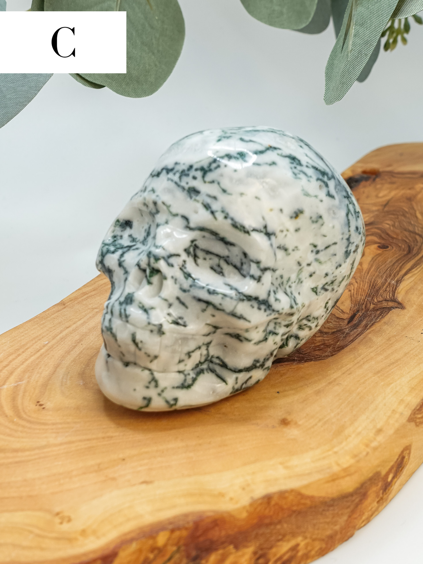 Moss Agate Skull Carving - You Choose!