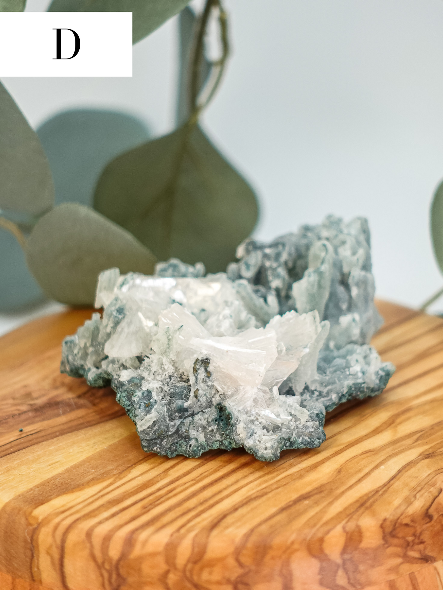 Chalcedony/Apophyllite Specimen - You Choose!