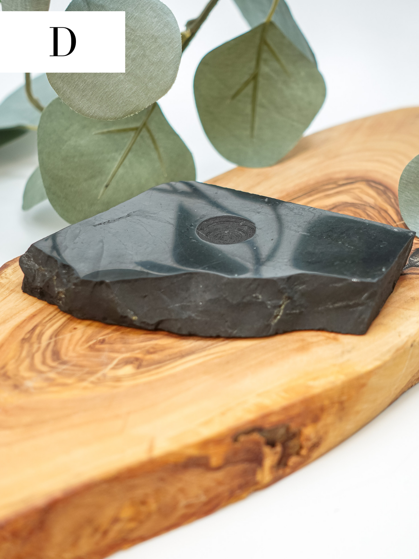 Shungite Slab Sphere Holder - You choose!