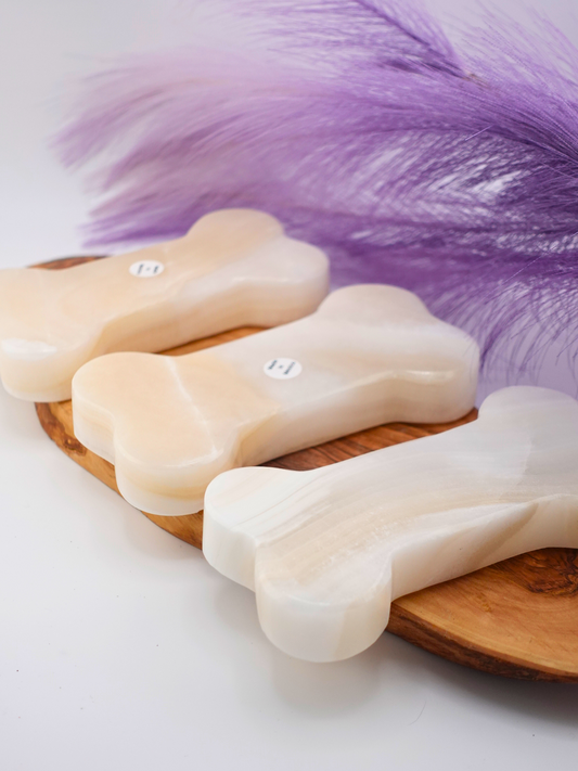 Three banded calcite bones displayed on a wooden stand with a purple flower accent
