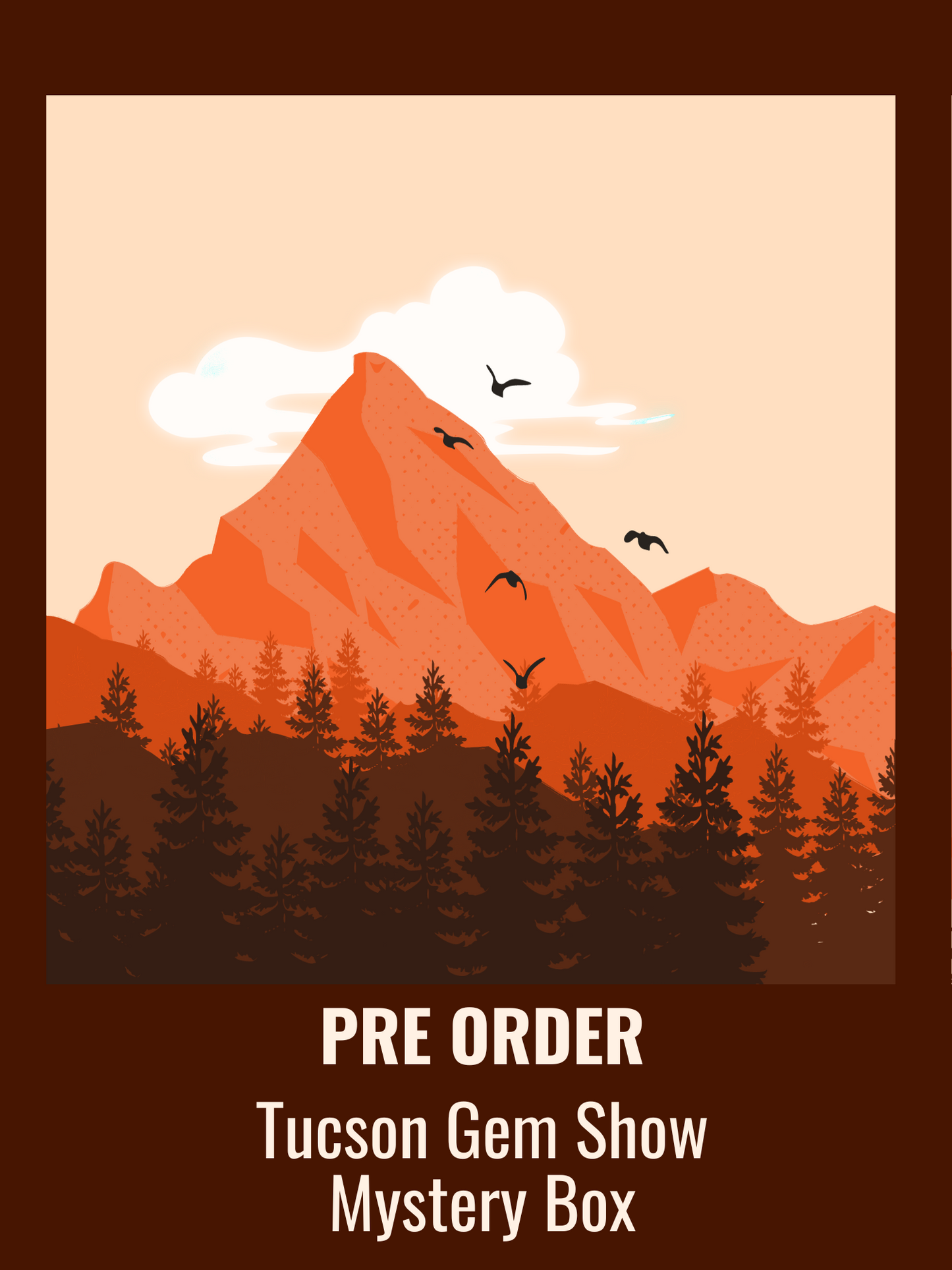PRE-ORDER Tucson Gem Show Mystery Box