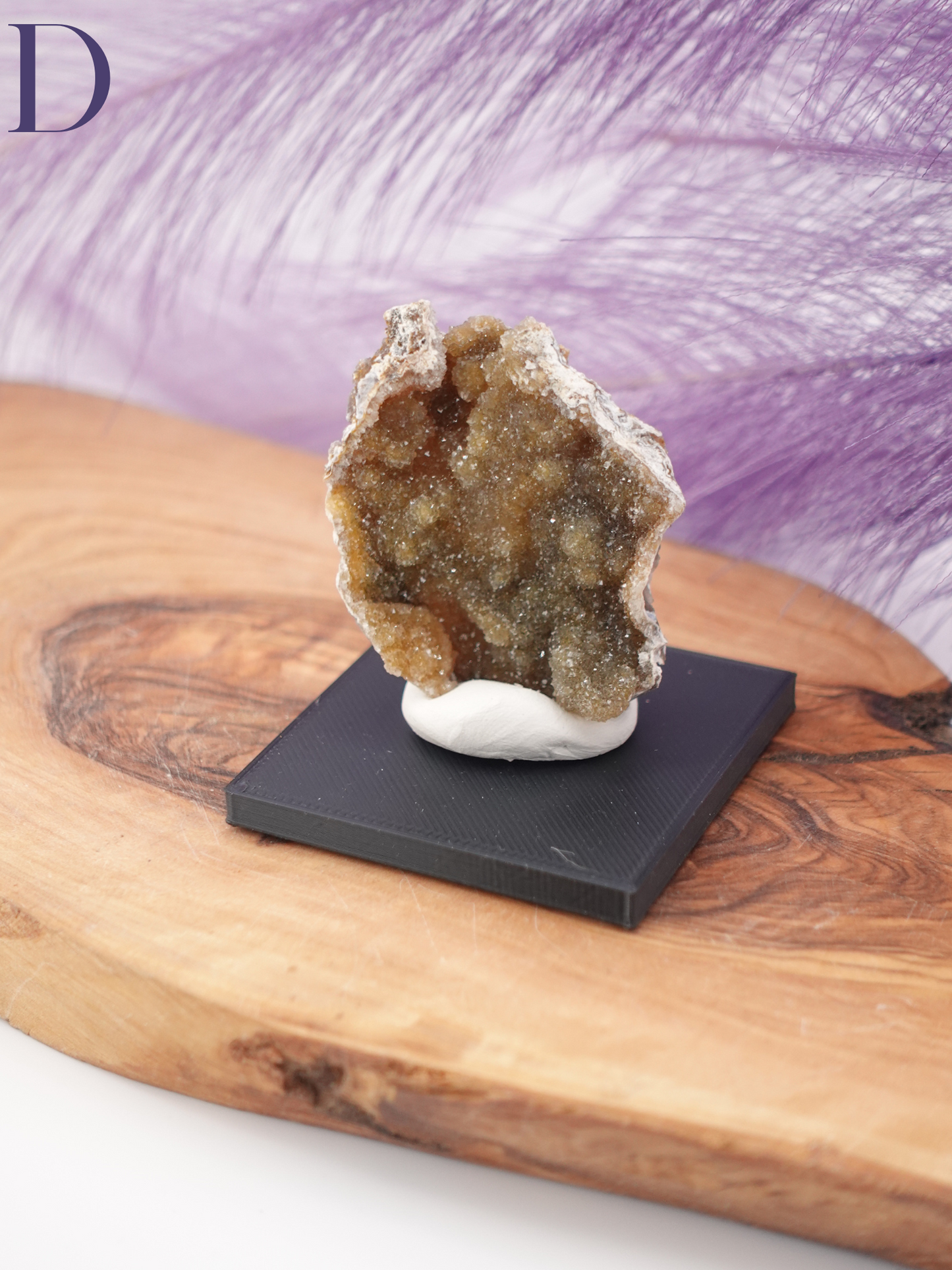 Agatized Coral Specimen on Stand