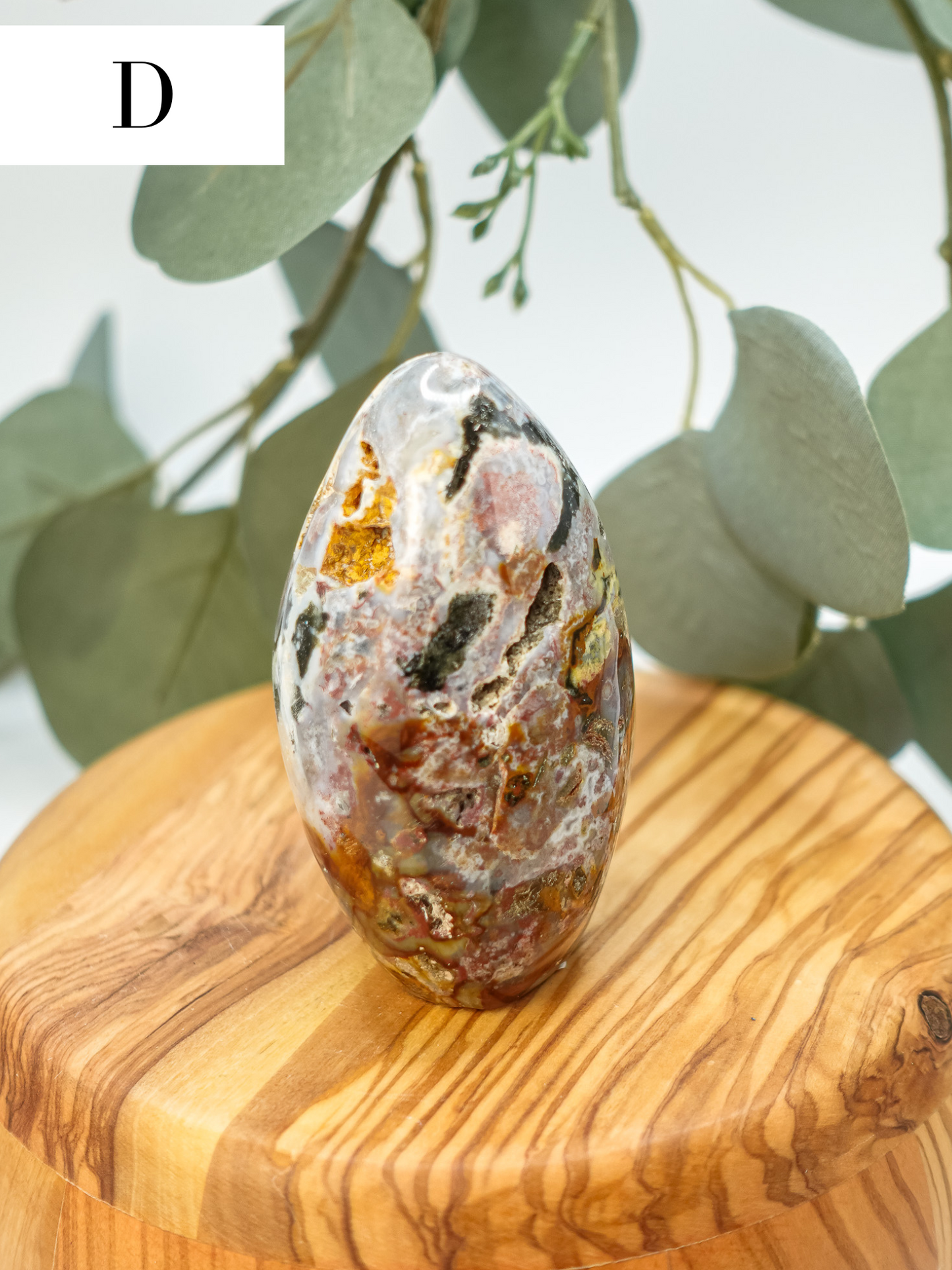 Sea Jasper Freeform- You Choose!