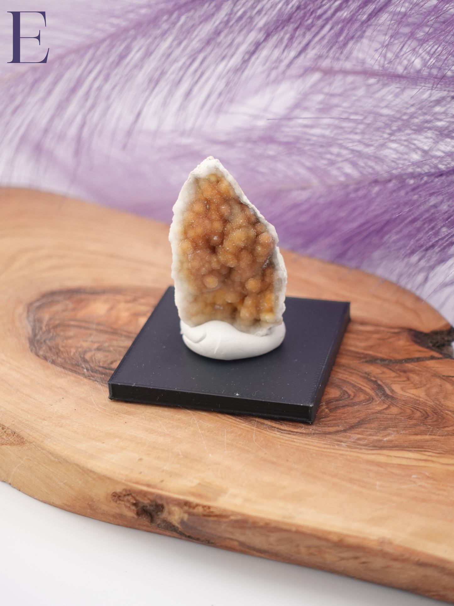 Agatized Coral Specimen on Stand