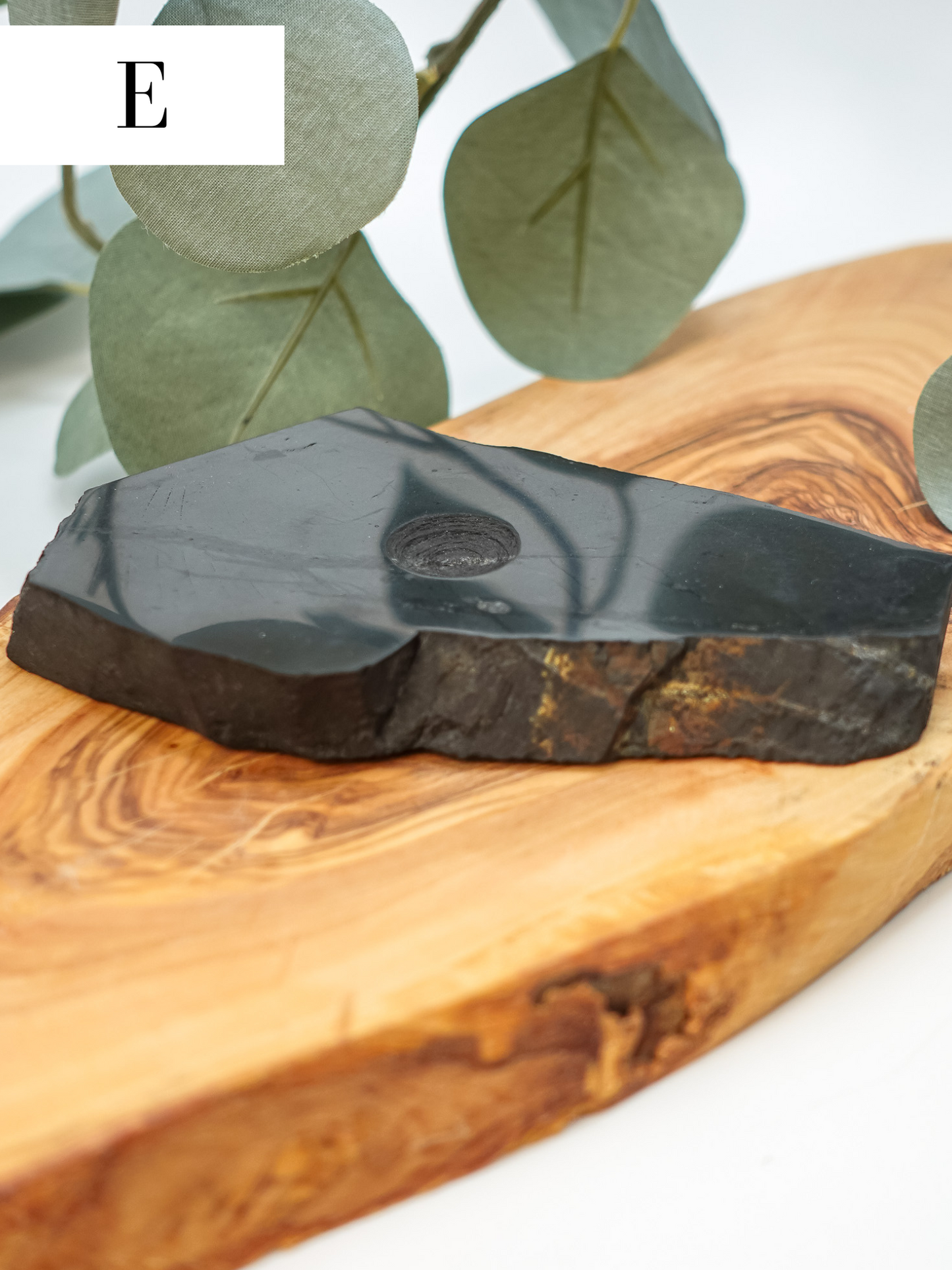 Shungite Slab Sphere Holder - You choose!