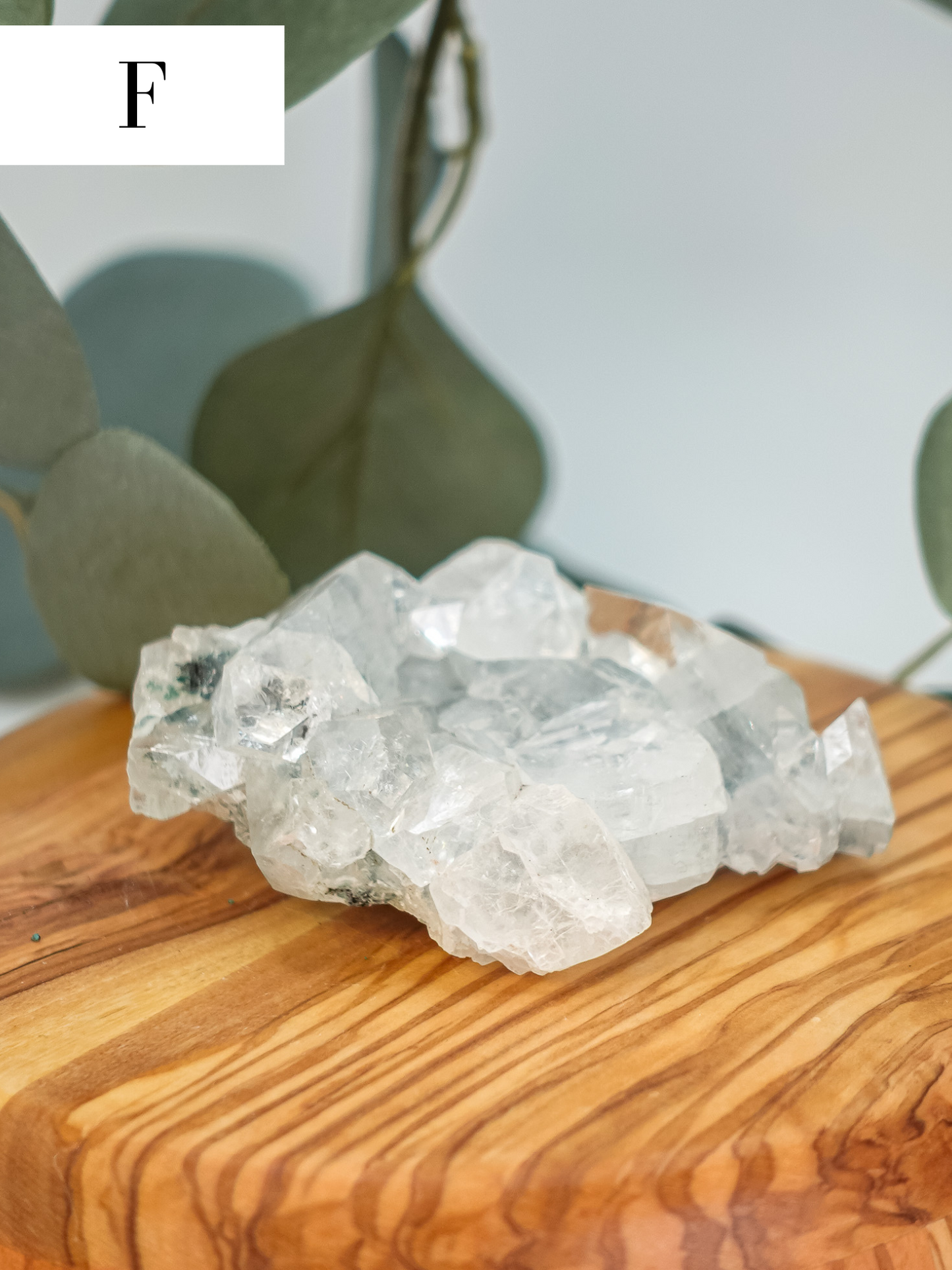 Chalcedony/Apophyllite Specimen - You Choose!