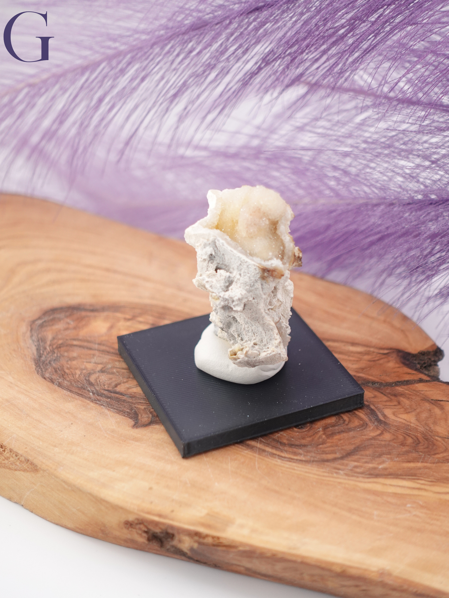 Agatized Coral Specimen on Stand