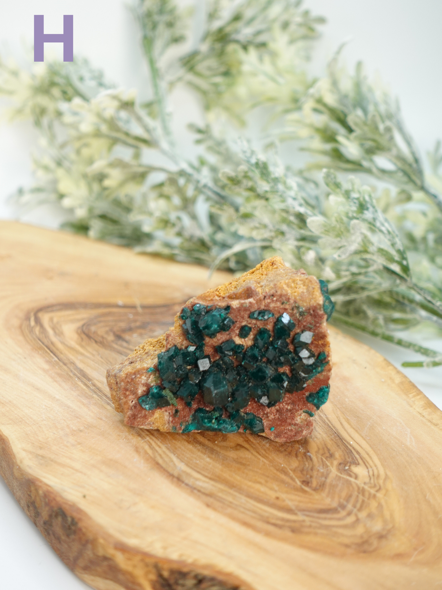 Fluorite Flame Flat- You Choose!