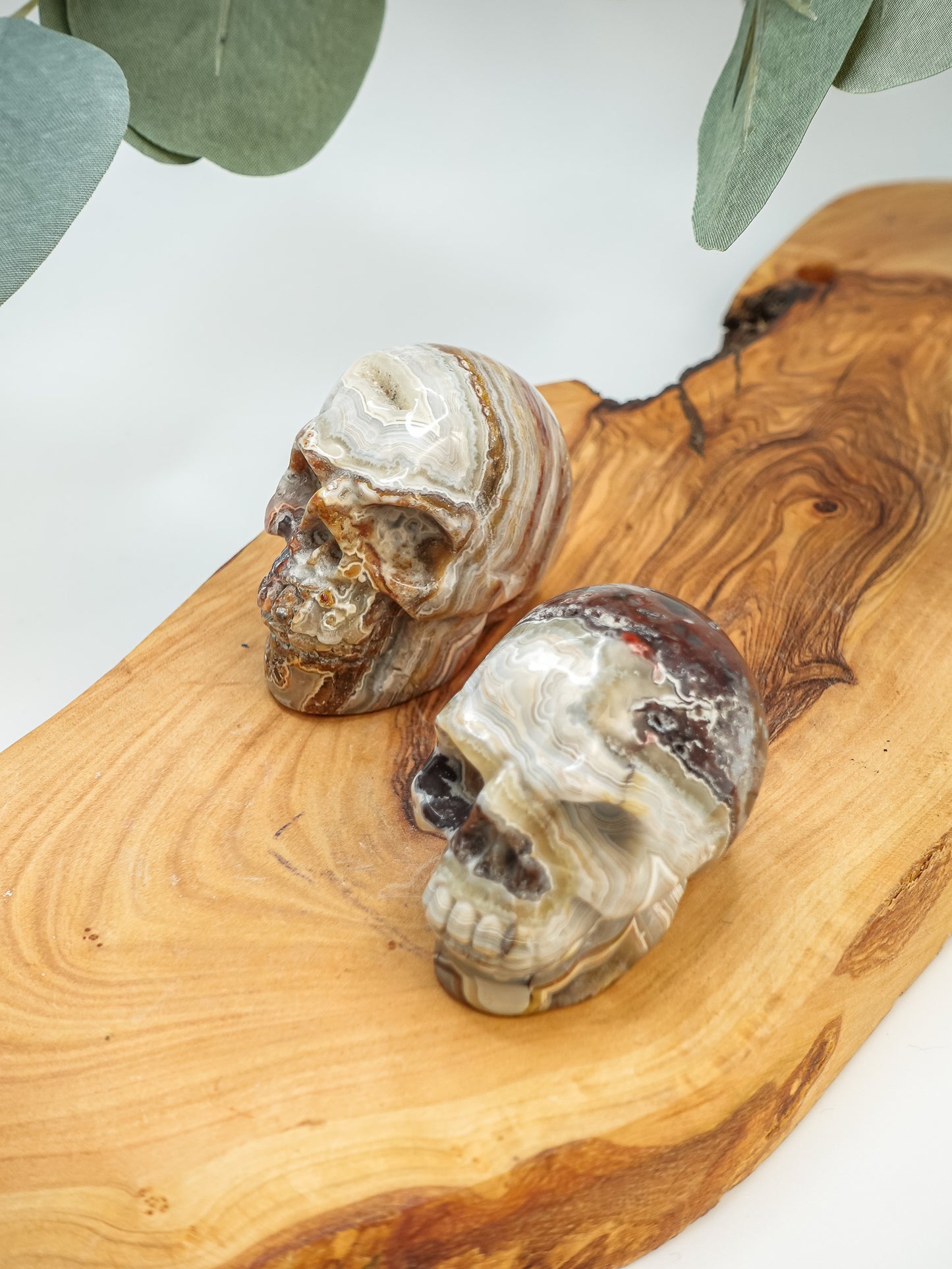 Mexican Crazy Lace Skull Carving - You Choose!