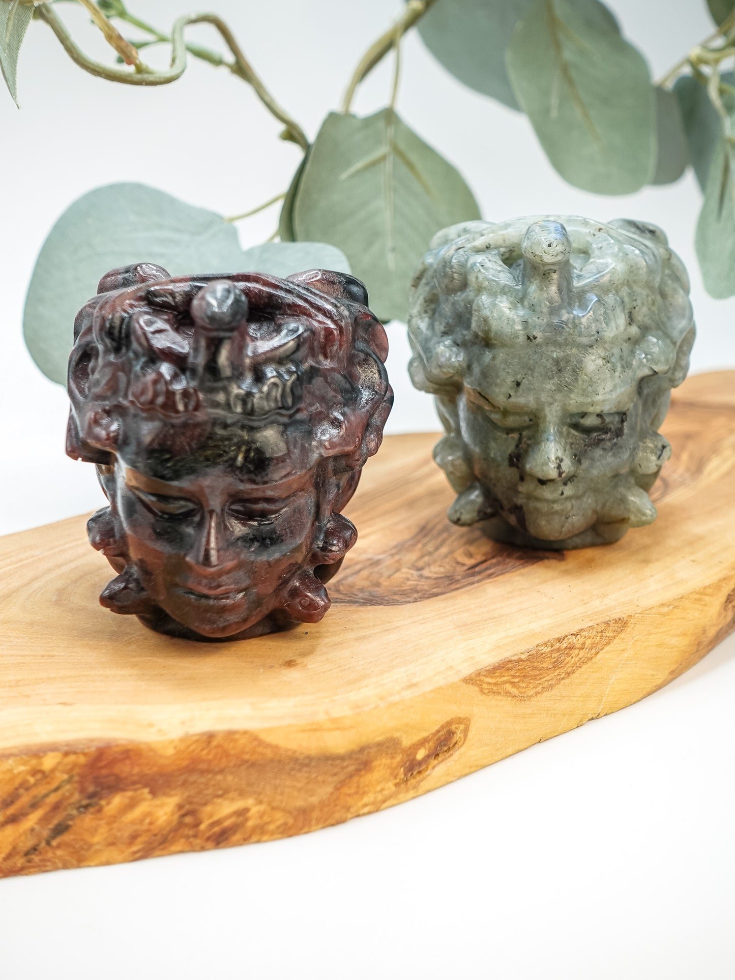 Medusa Head Carving