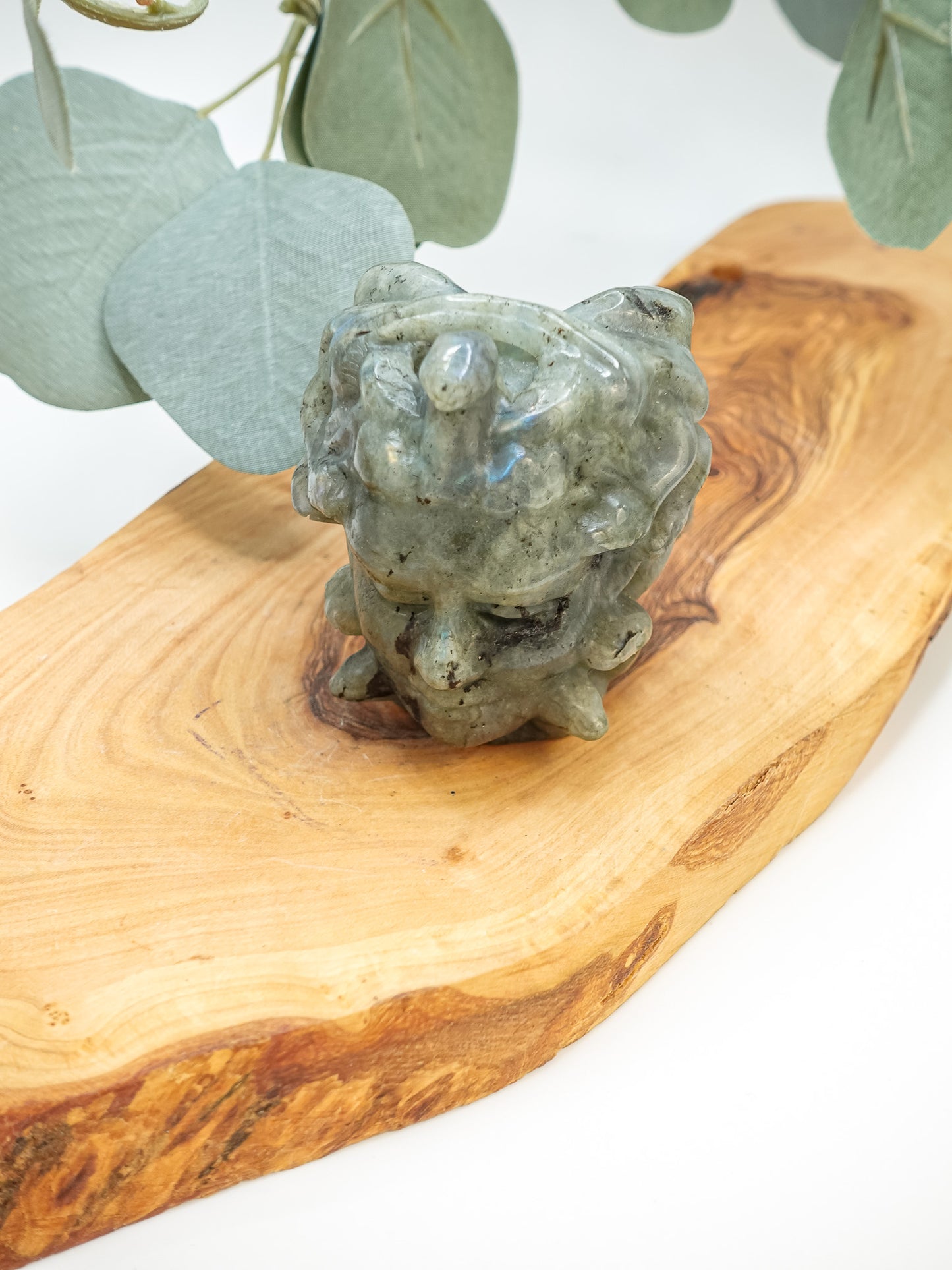 Medusa Head Carving