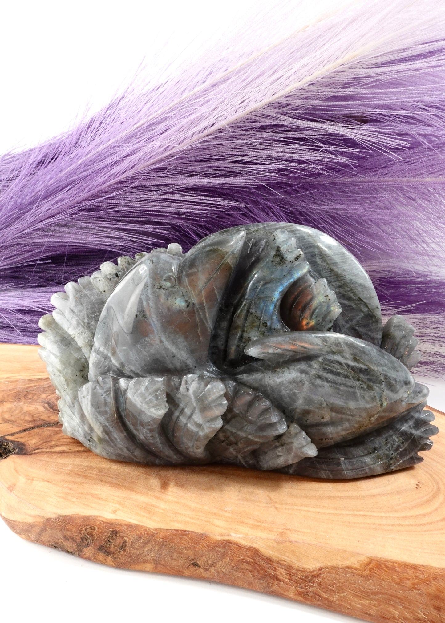 Labradorite dolphin carving on a wooden display stand