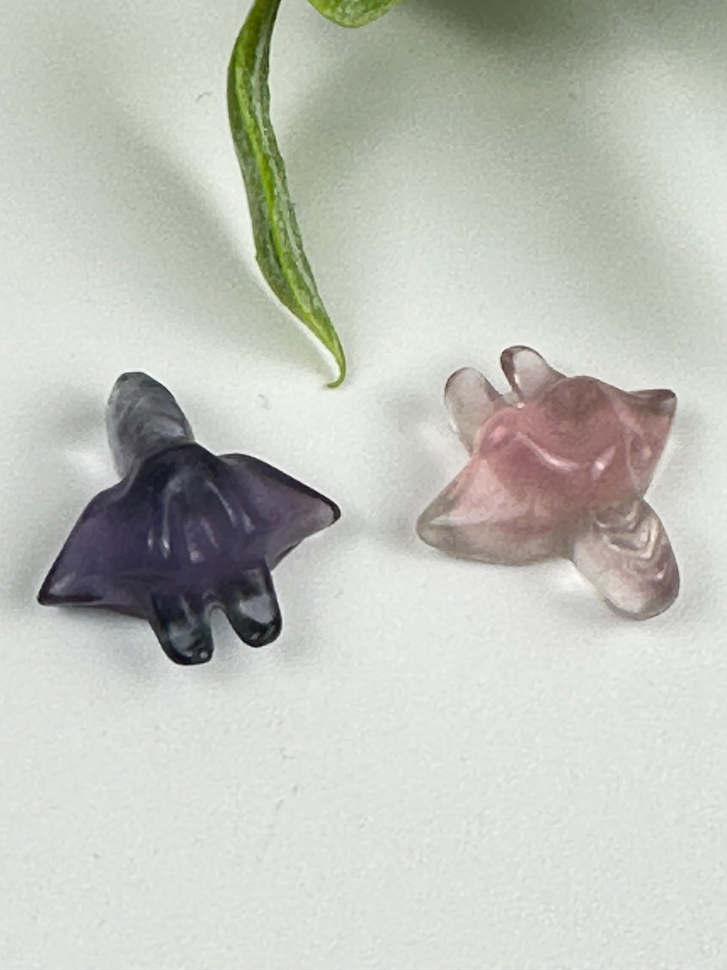 Mini Fluorite Manta Ray Carving