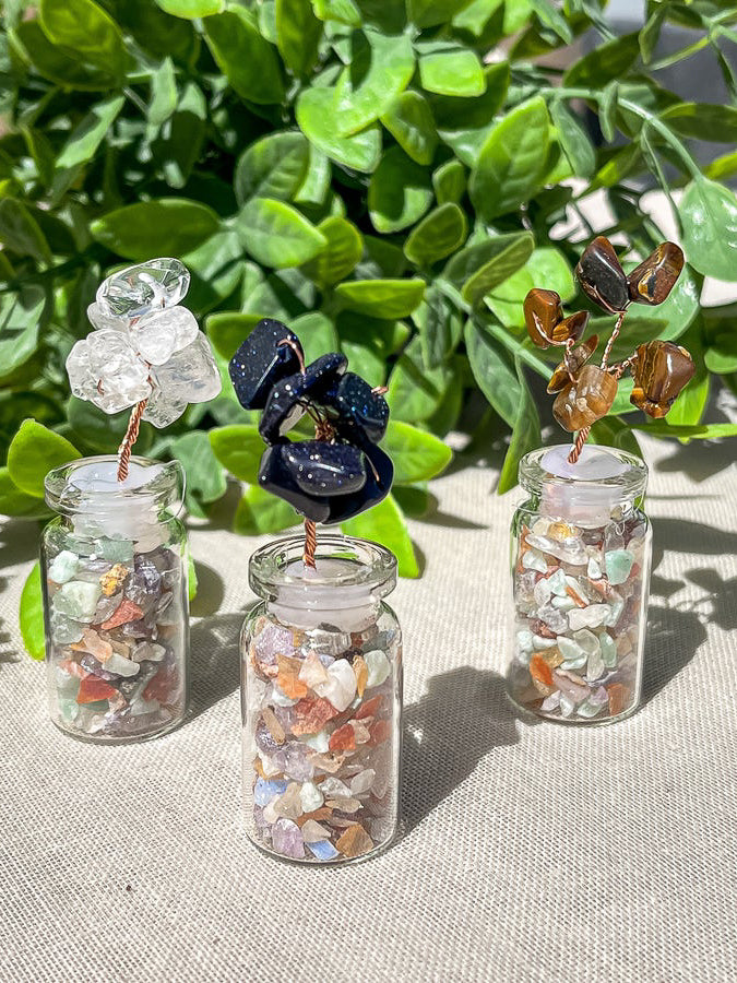 Chips Bottle Tree Variety