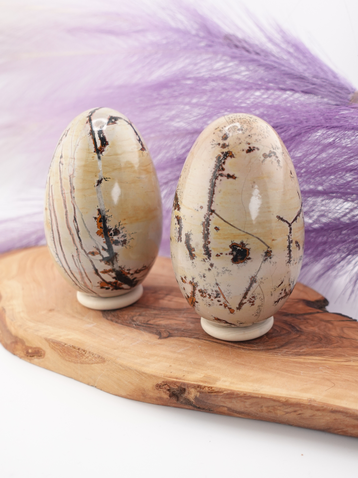 Two Picture jasper eggs on wooden display stand