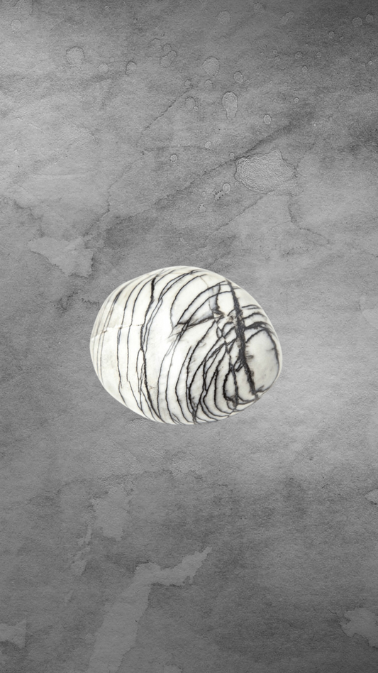 Net Jasper | The Spiderweb Jasper