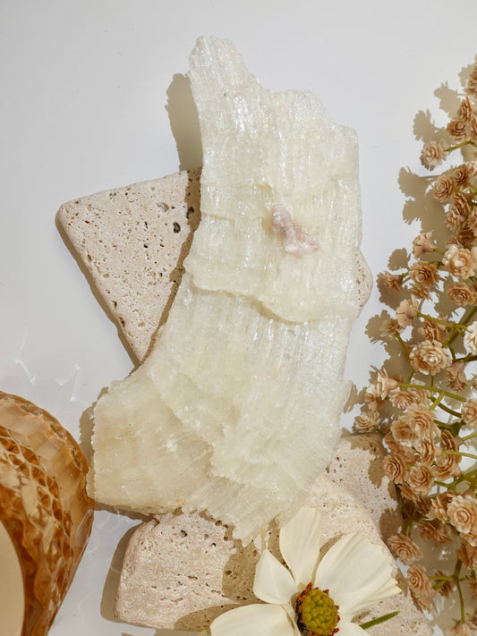Ram Horn Selenite