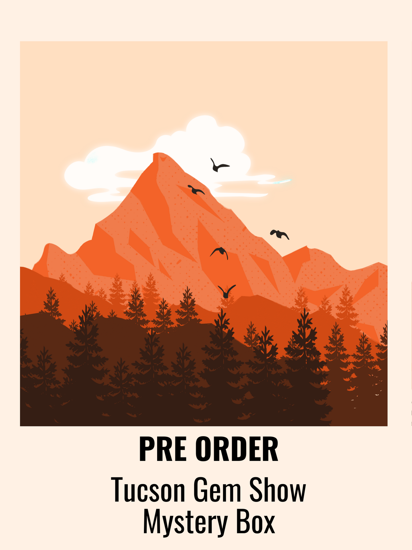 PRE-ORDER Tucson Gem Show Mystery Box
