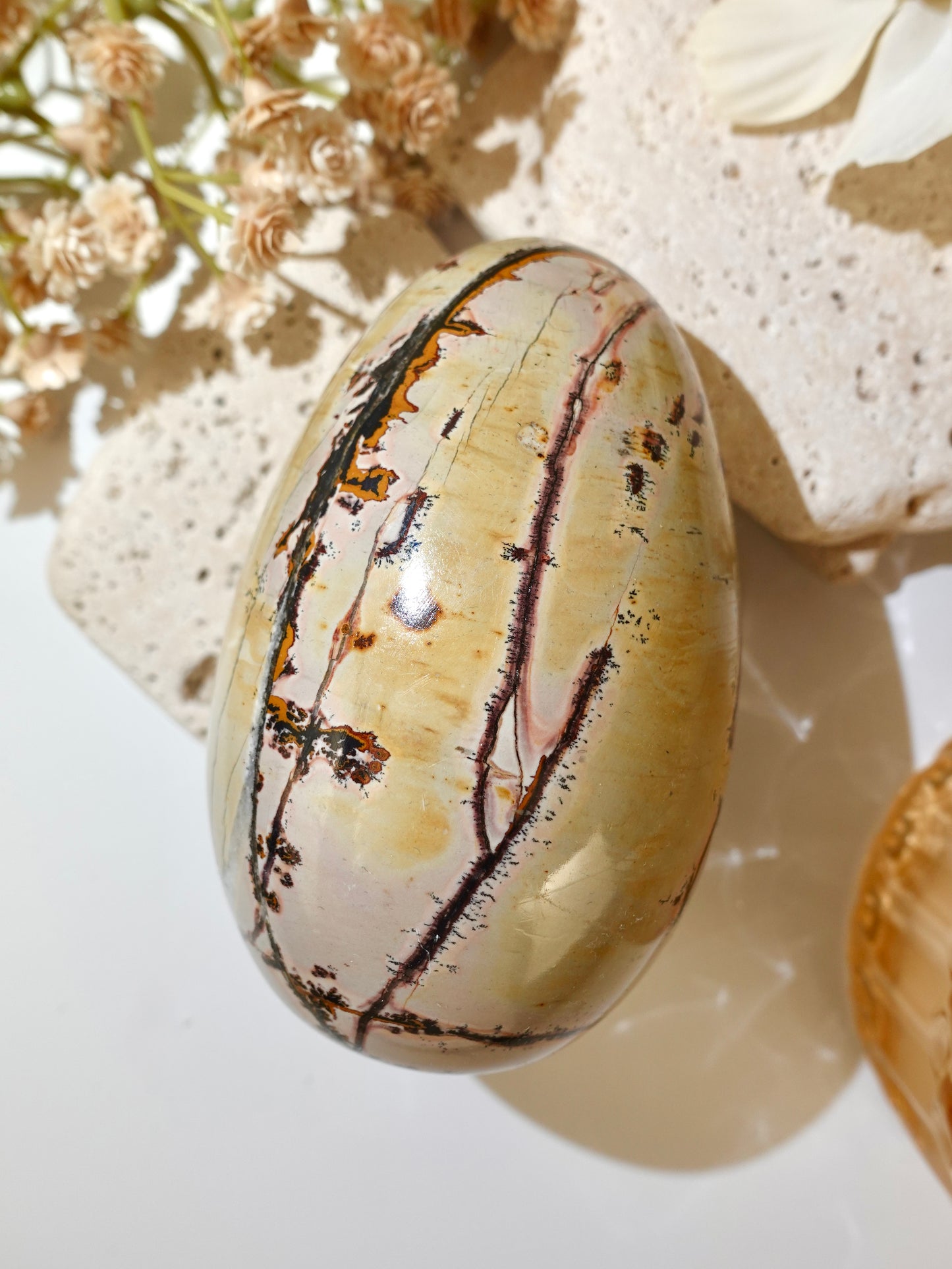 Picture Jasper Egg