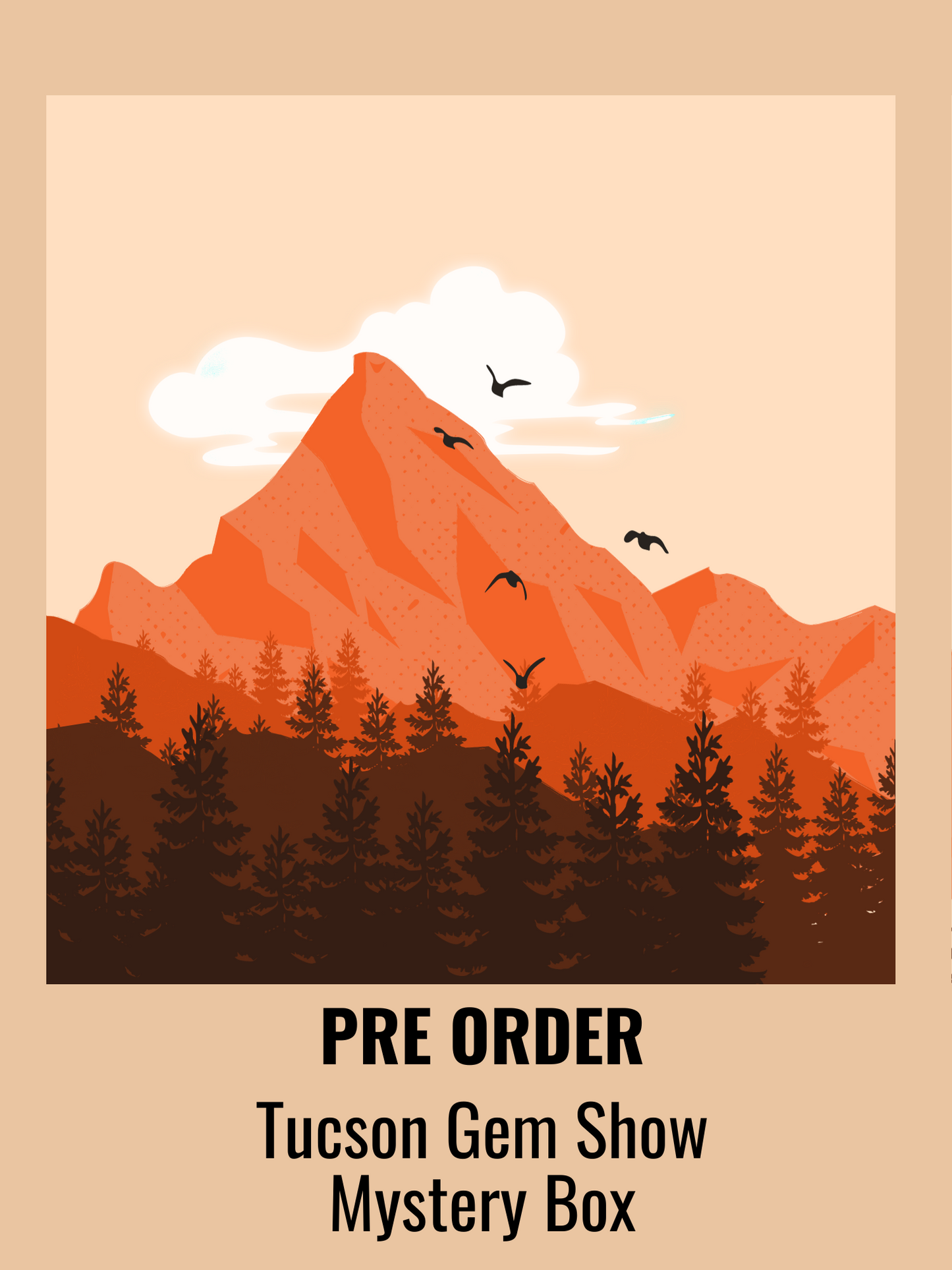 PRE-ORDER Tucson Gem Show Mystery Box