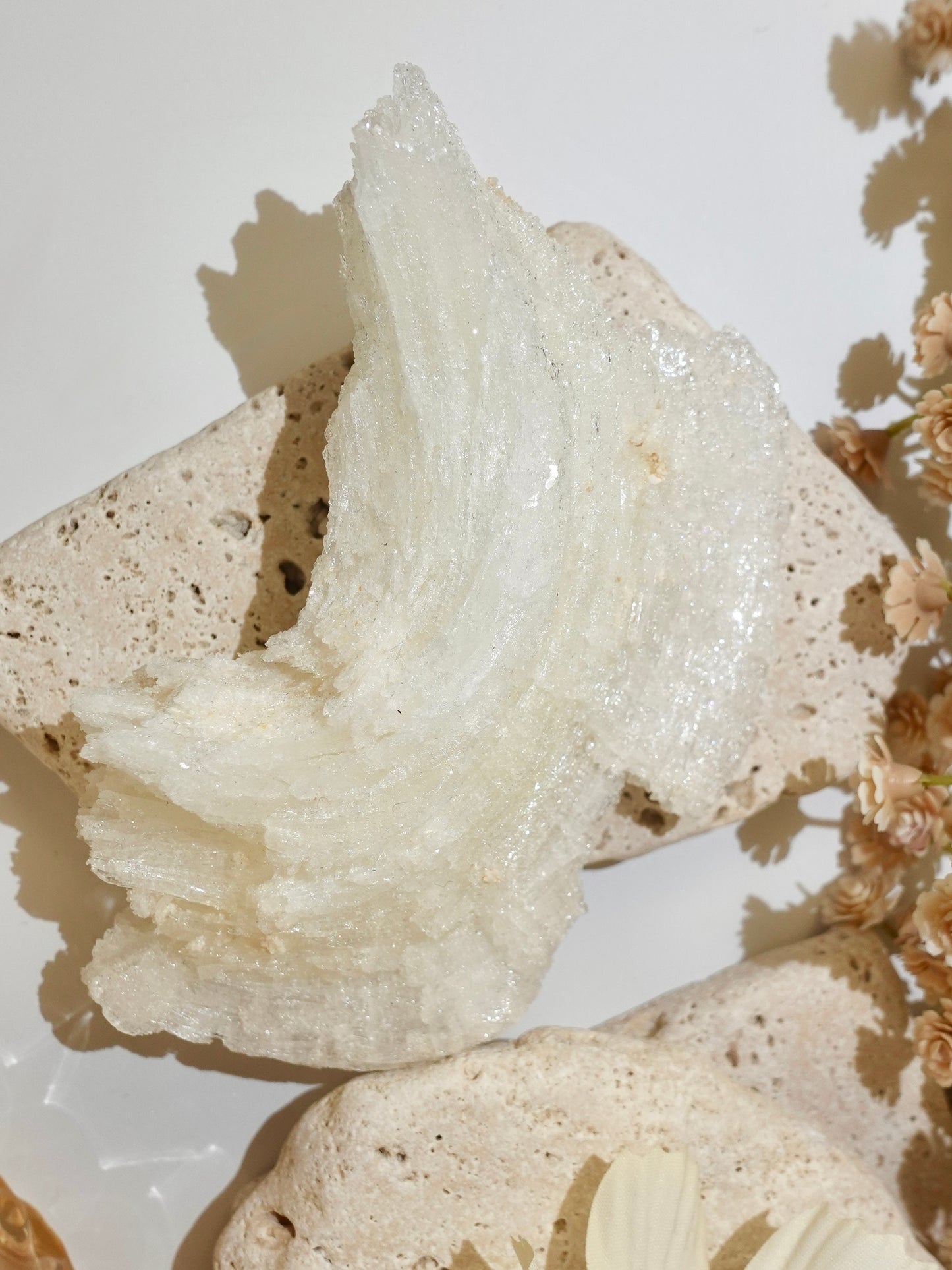 Ram Horn Selenite