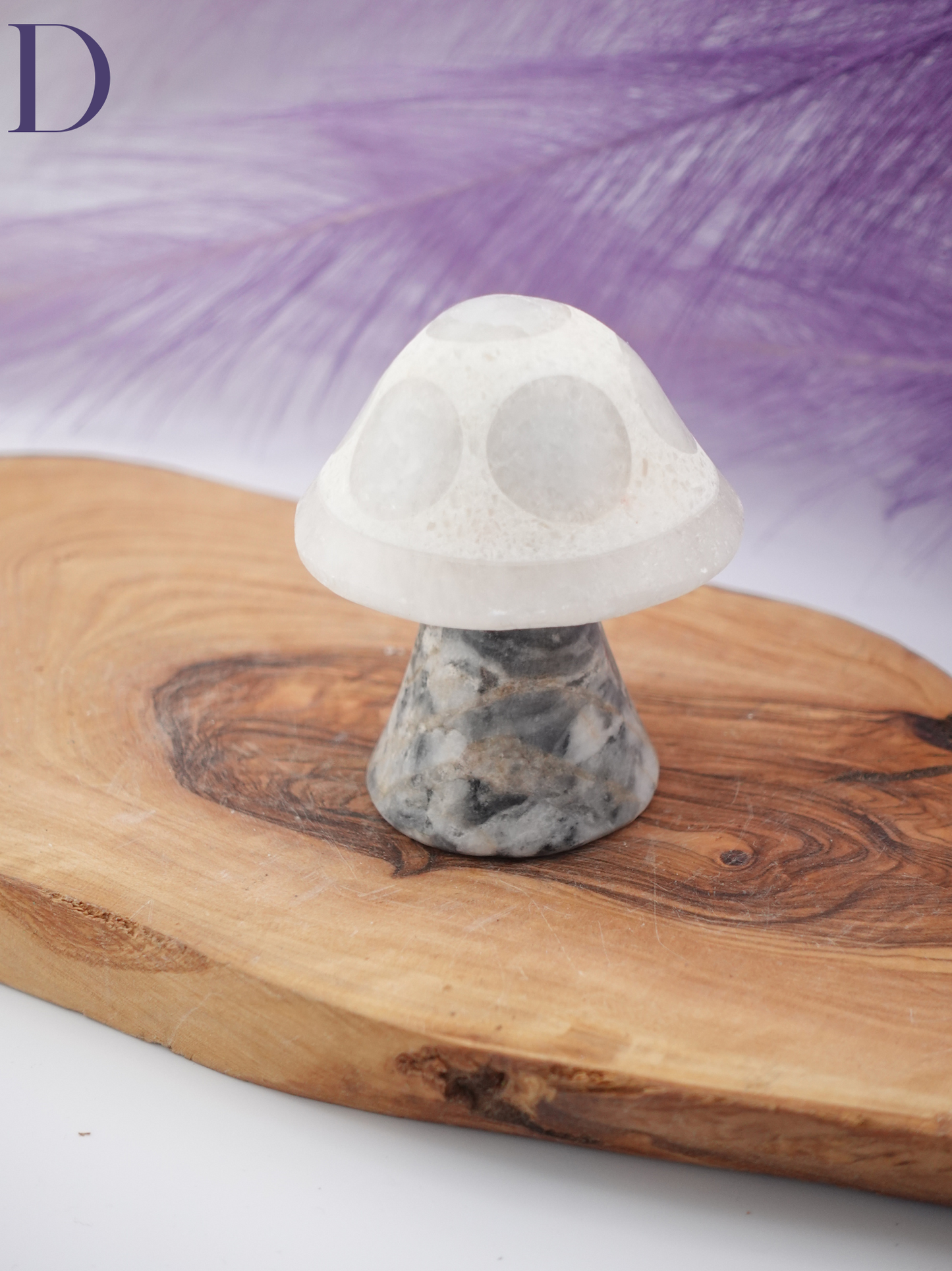 Banded calcite mushroom option D on wooden display stand