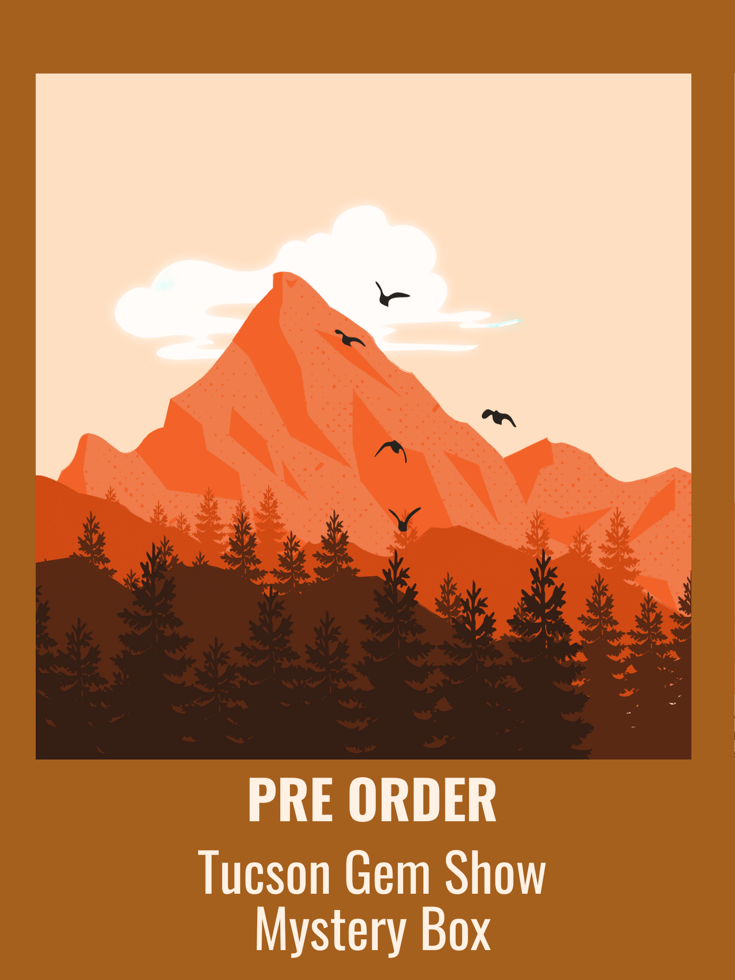 PRE-ORDER Tucson Gem Show Mystery Box