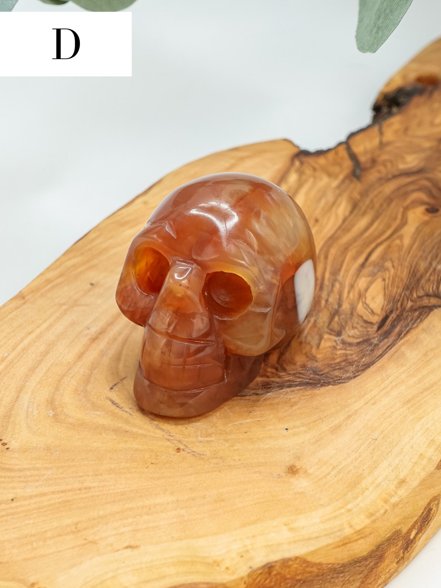 Carnelian Skull Carving - You Choose!