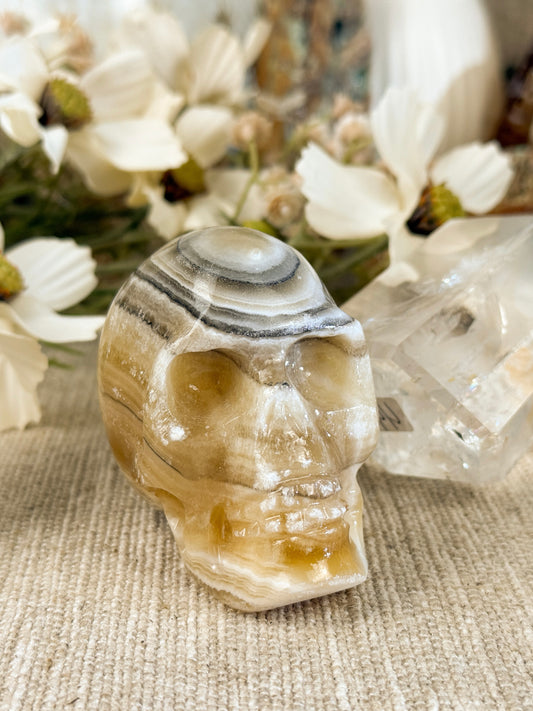 Banded Calcite Skulls